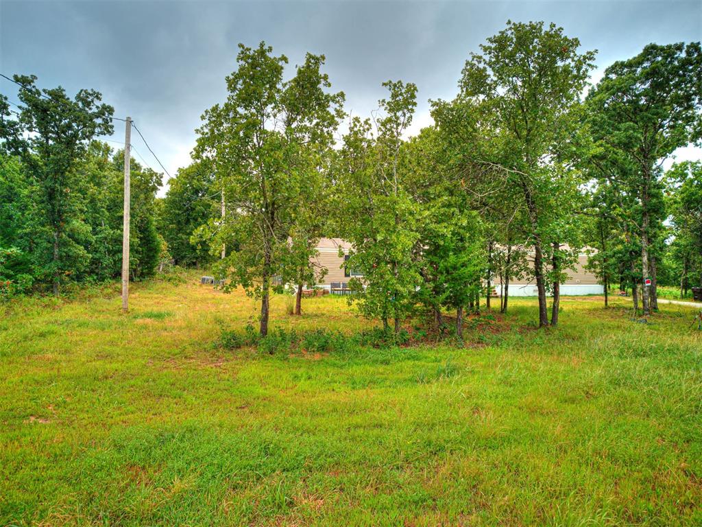 101735 Green Moss Trail