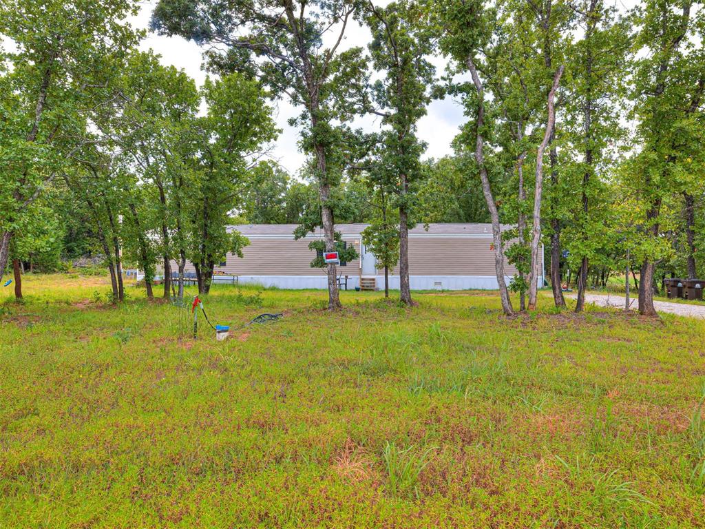 101735 Green Moss Trail