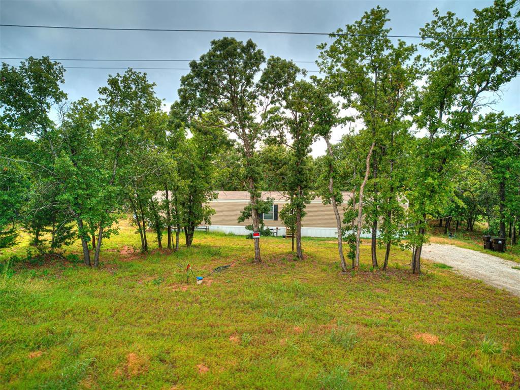 101735 Green Moss Trail