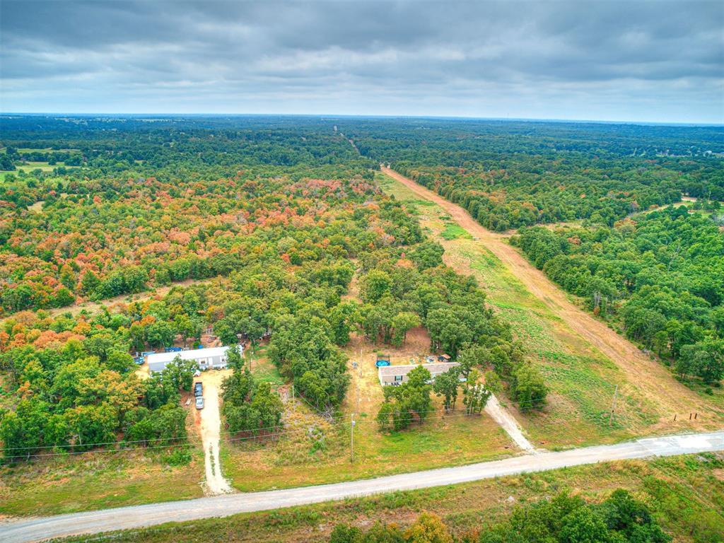 101735 Green Moss Trail