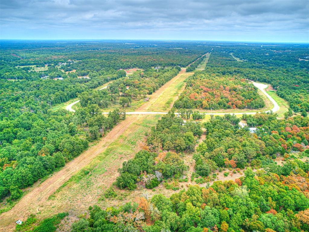 101735 Green Moss Trail