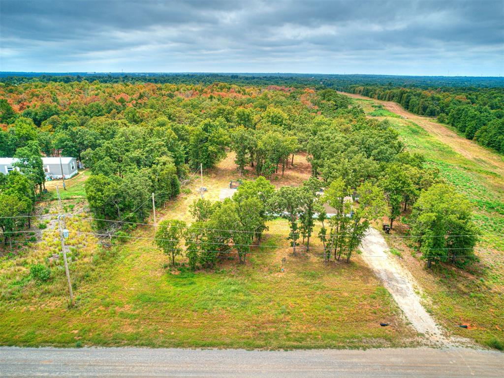 101735 Green Moss Trail