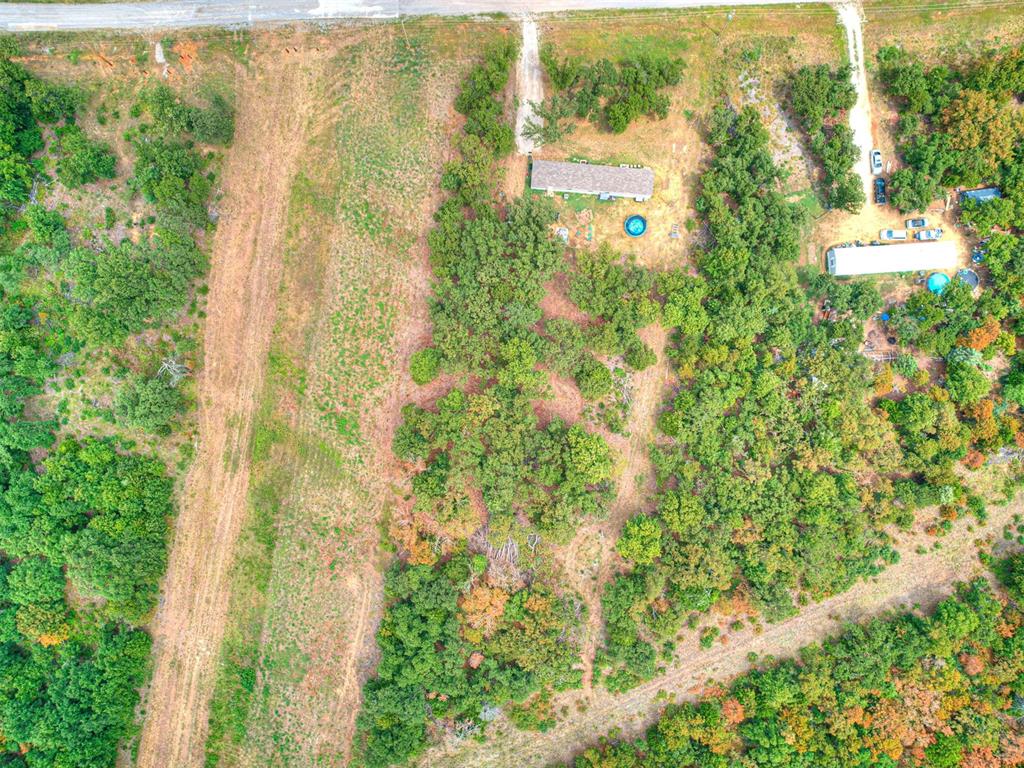 101735 Green Moss Trail