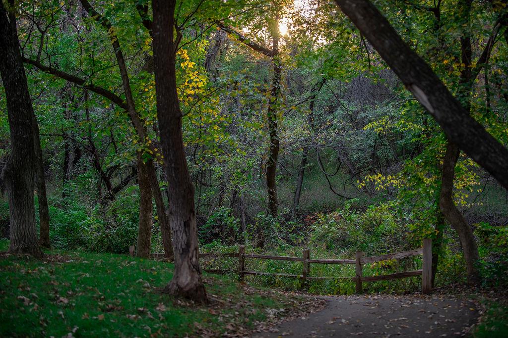 3001 Flycatcher Lane