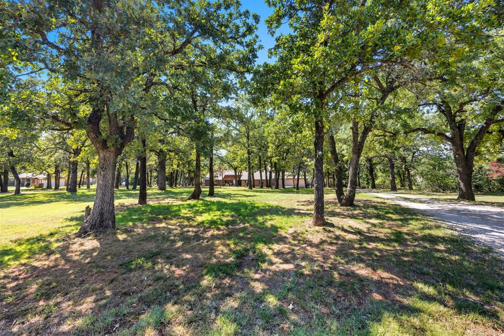 14551 Billy Drive