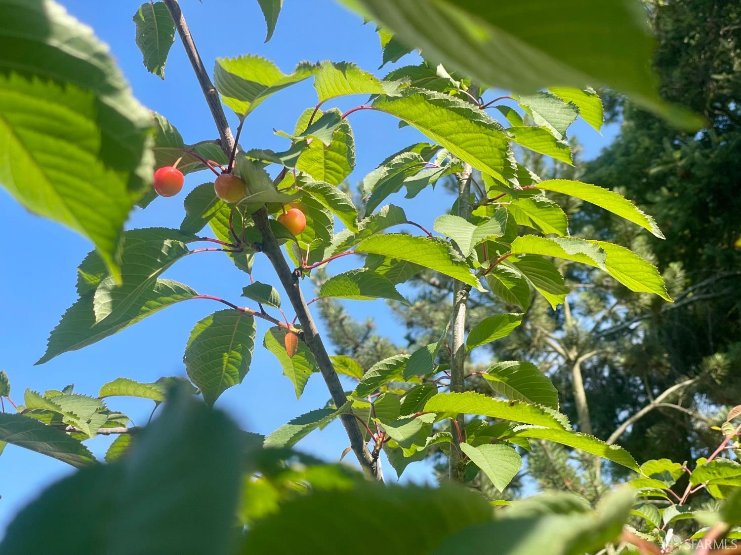 2031 9th Avenue