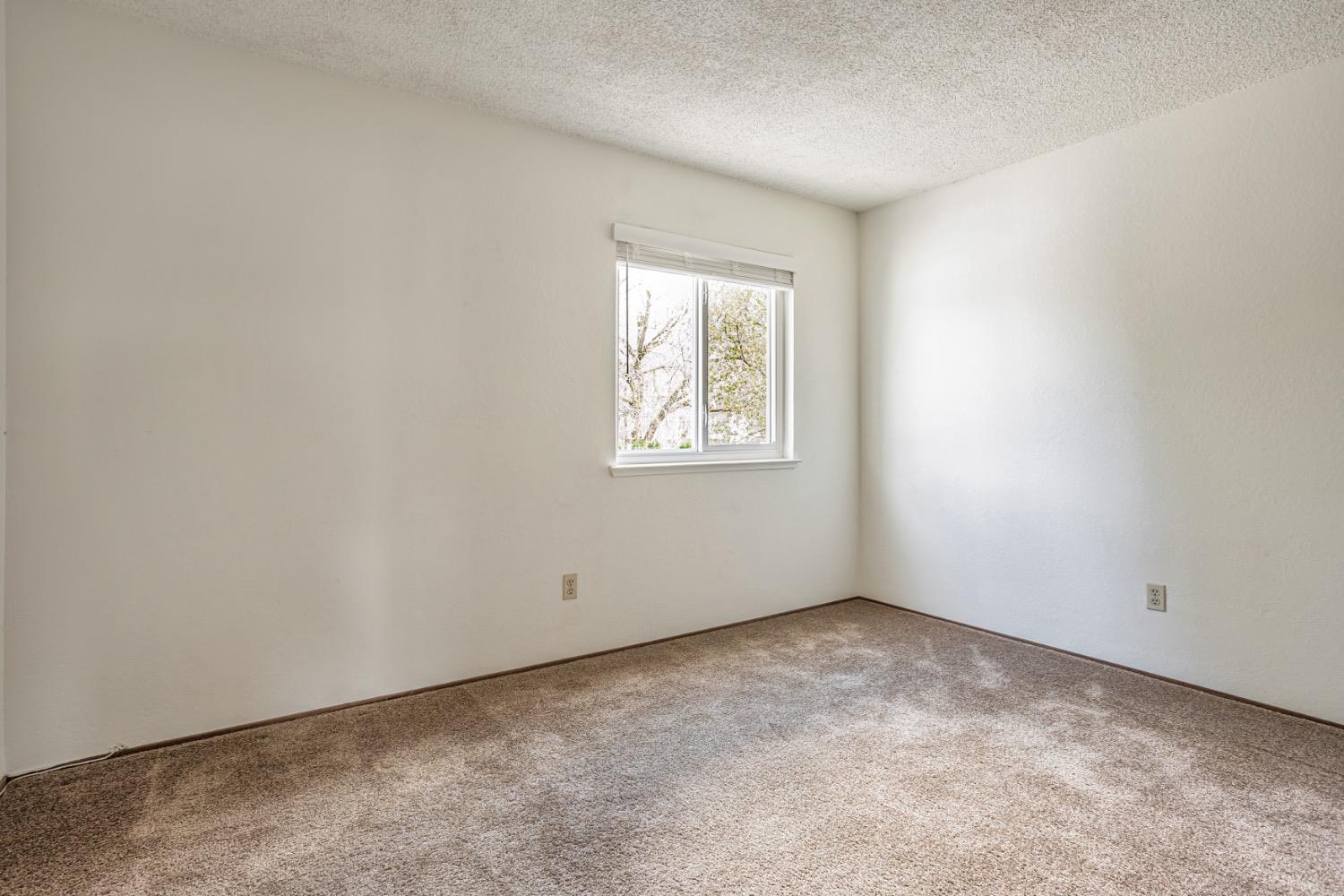 2335 Native Oak Lane