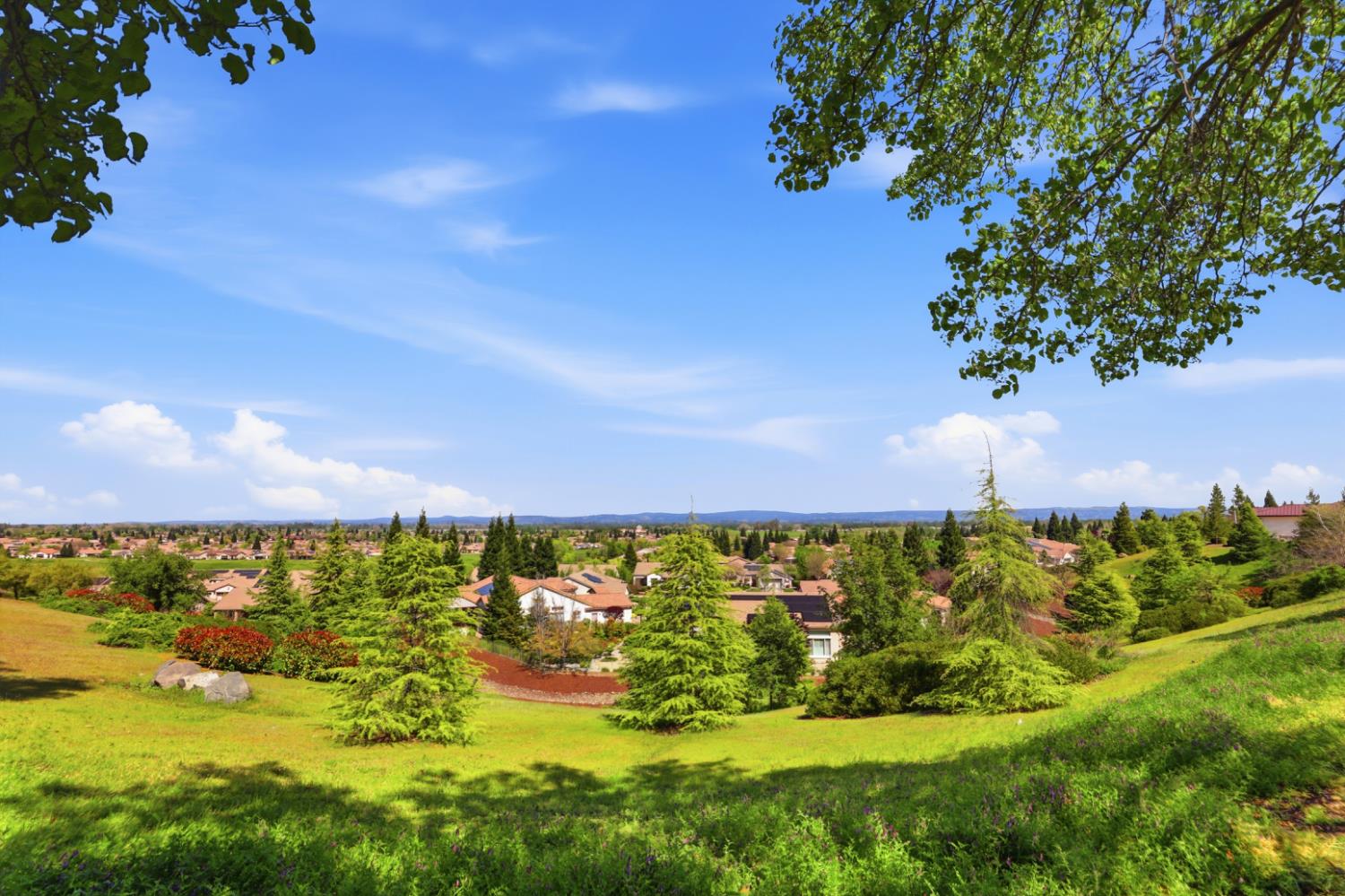 1160 Greenwood Court