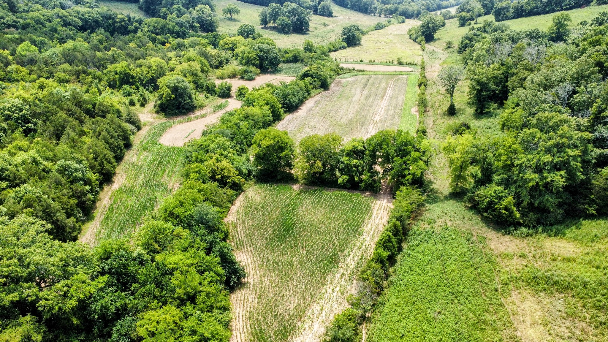 394 Young Hollow Rd