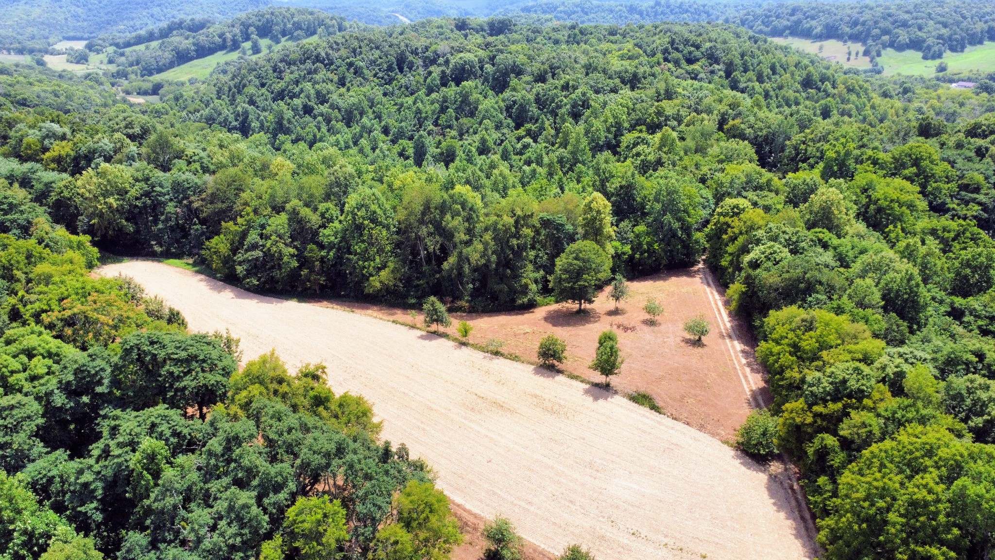 394 Young Hollow Rd