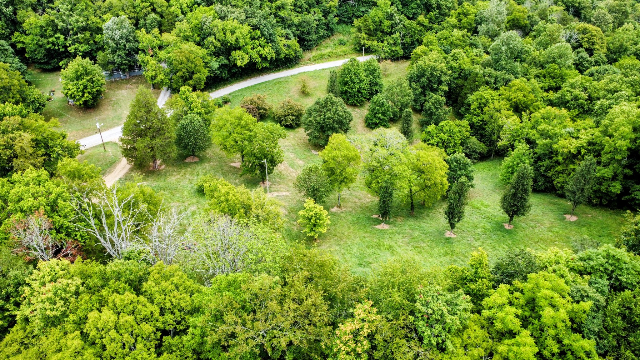 394 Young Hollow Rd