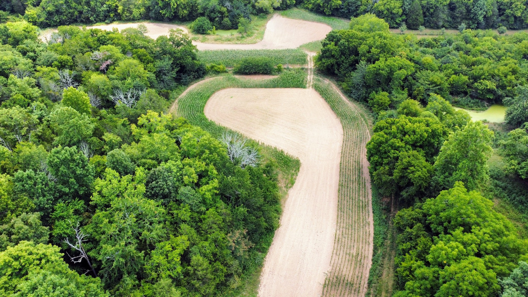 394 Young Hollow Rd