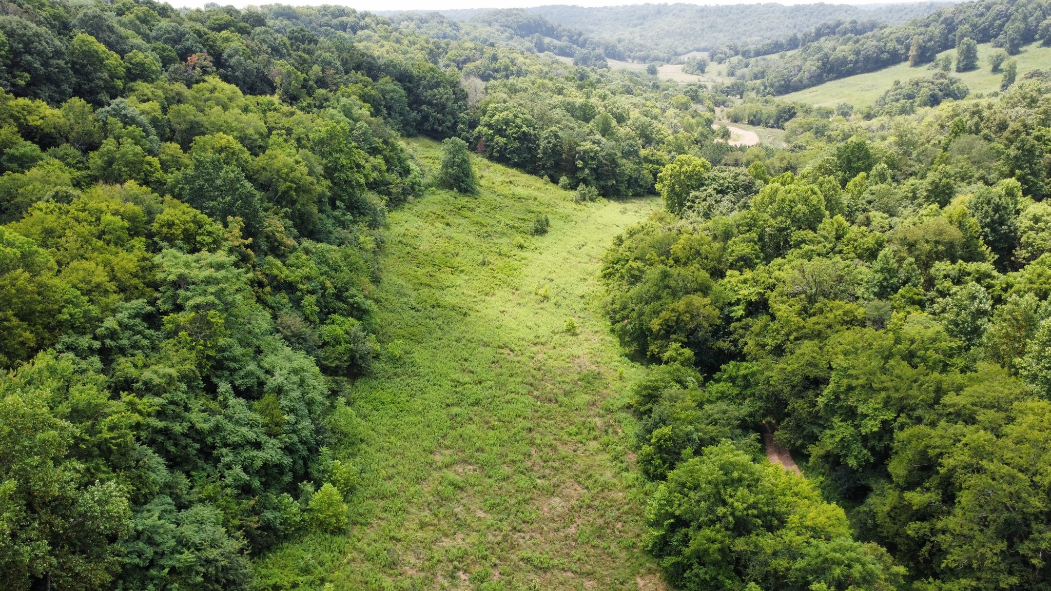 394 Young Hollow Rd