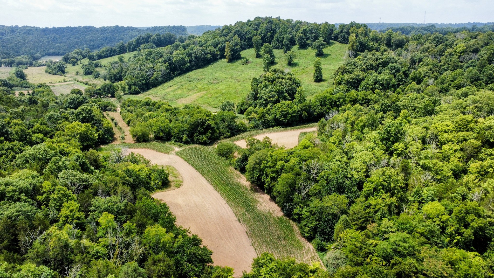 394 Young Hollow Rd