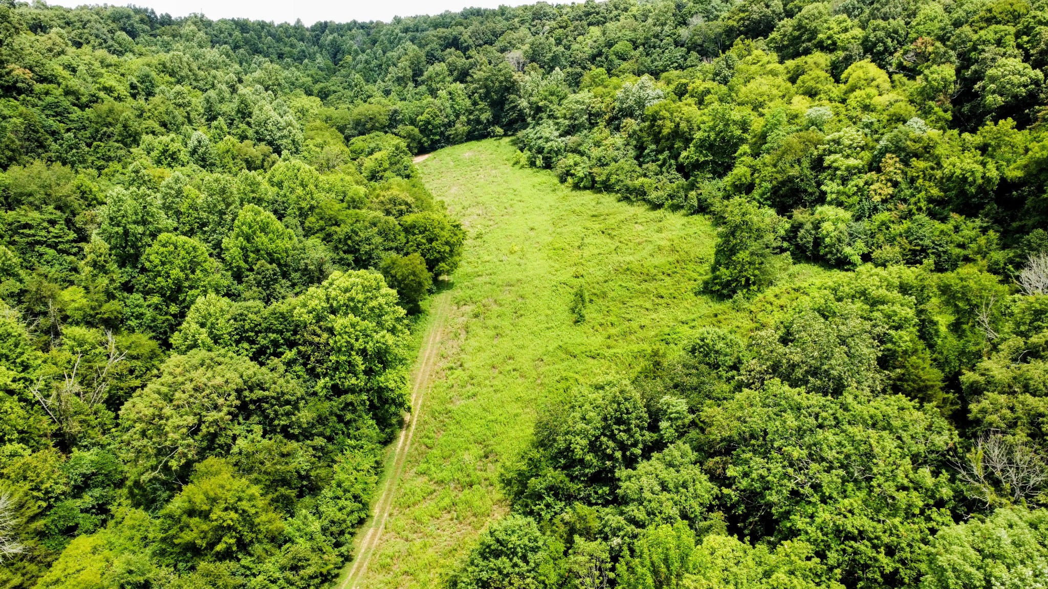 394 Young Hollow Rd