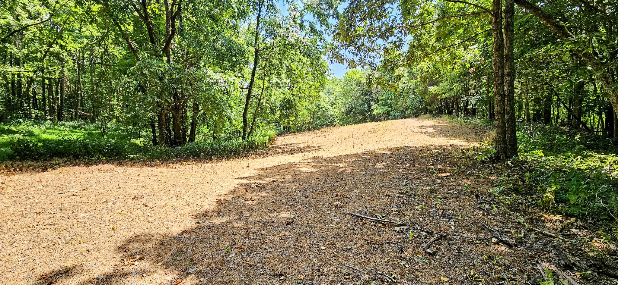 394 Young Hollow Rd