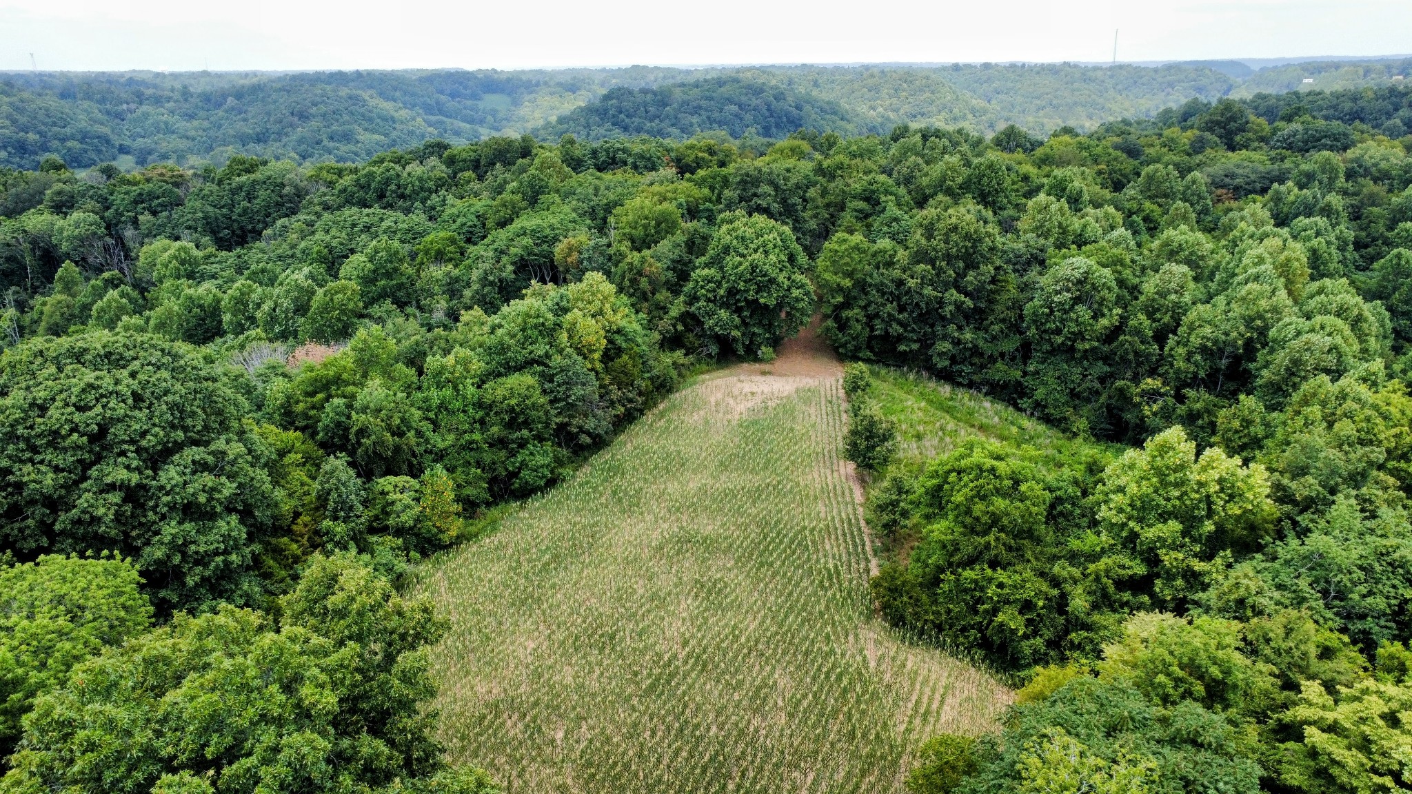 394 Young Hollow Rd