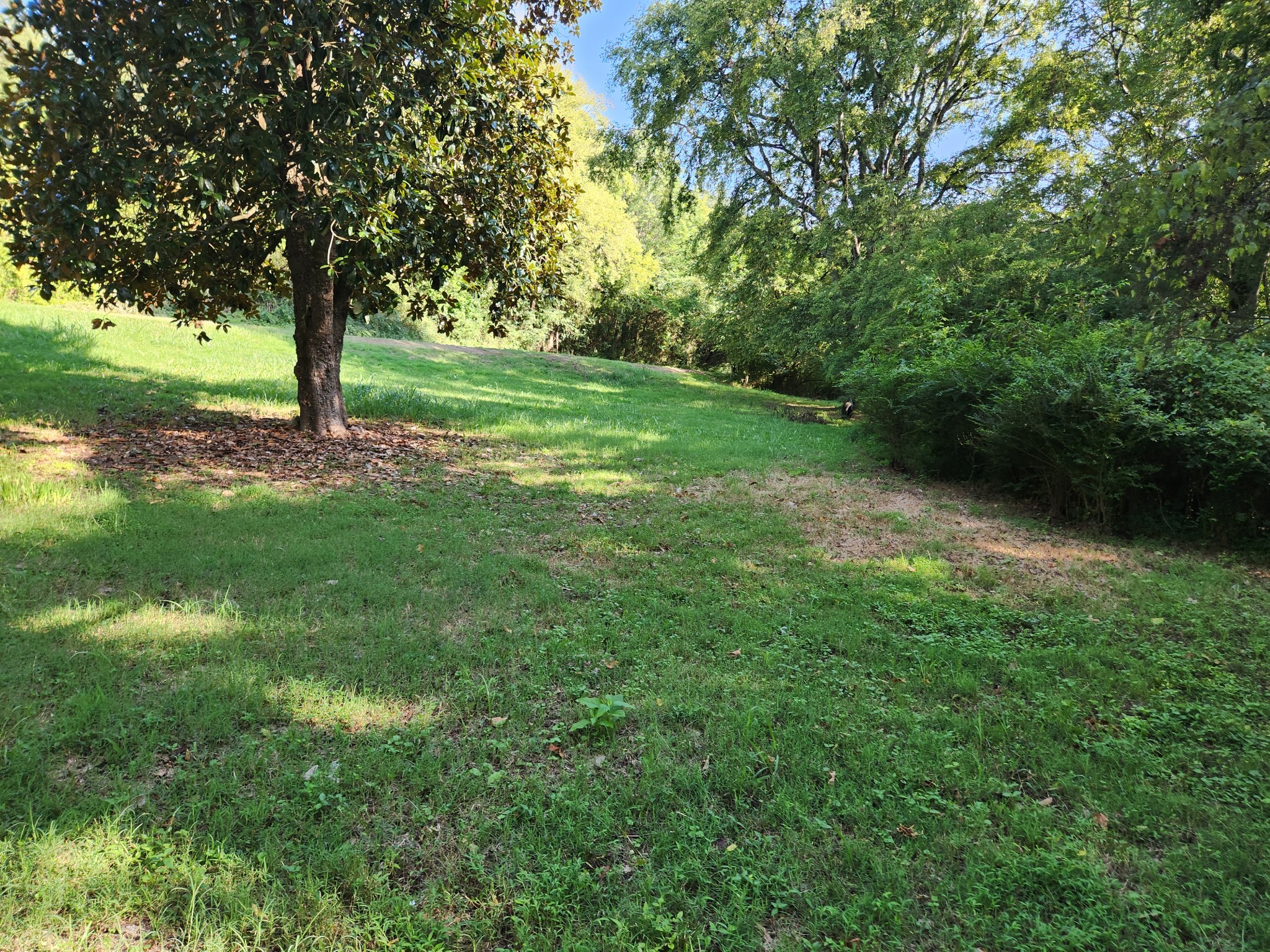3262 Prospect Rd