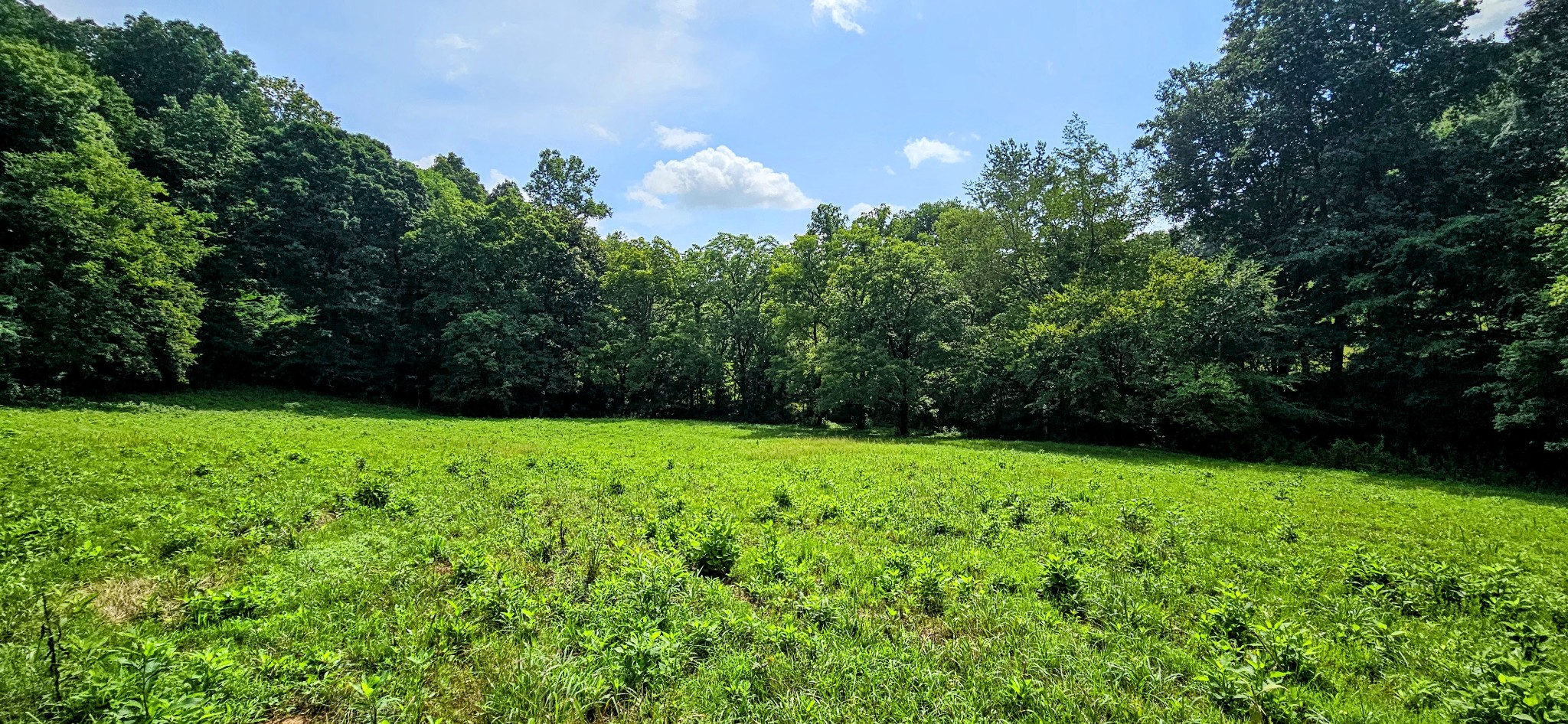 0 Big Spring Hollow