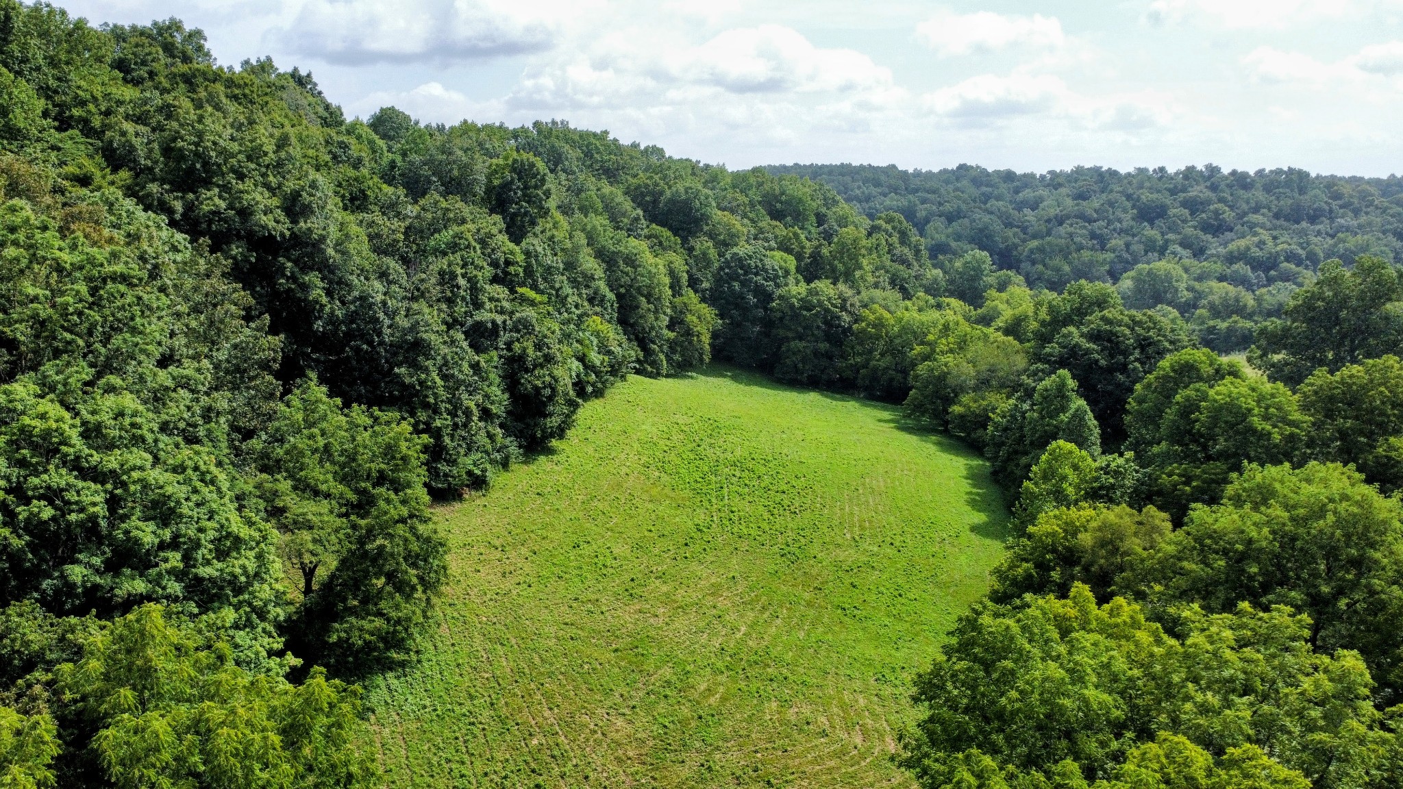 0 Big Spring Hollow