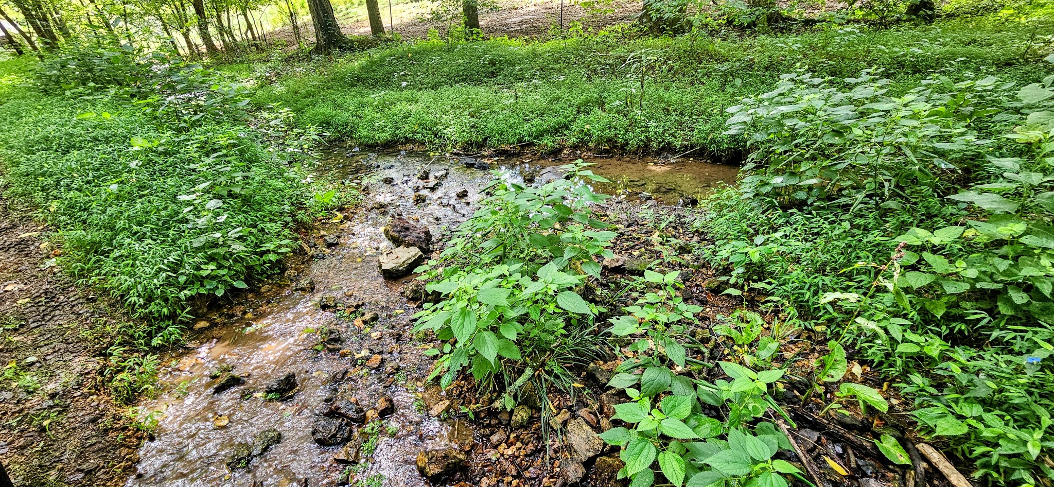 0 Big Spring Hollow