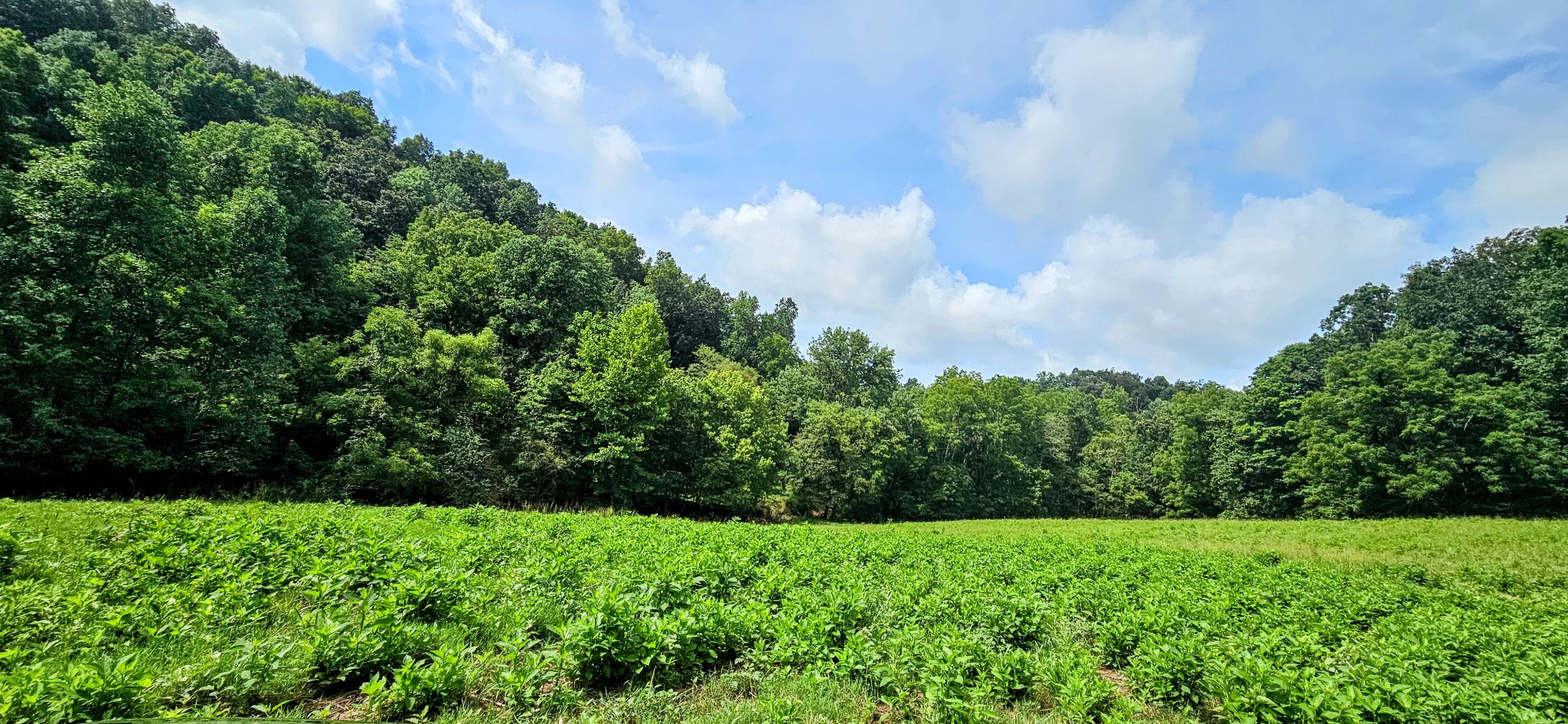 0 Big Spring Hollow