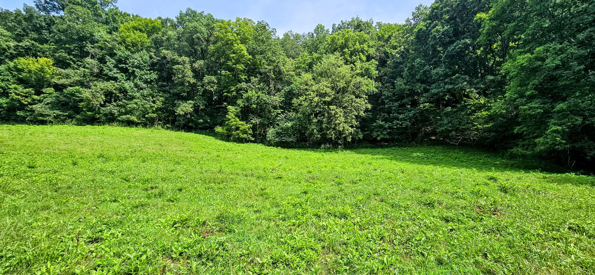 0 Big Spring Hollow
