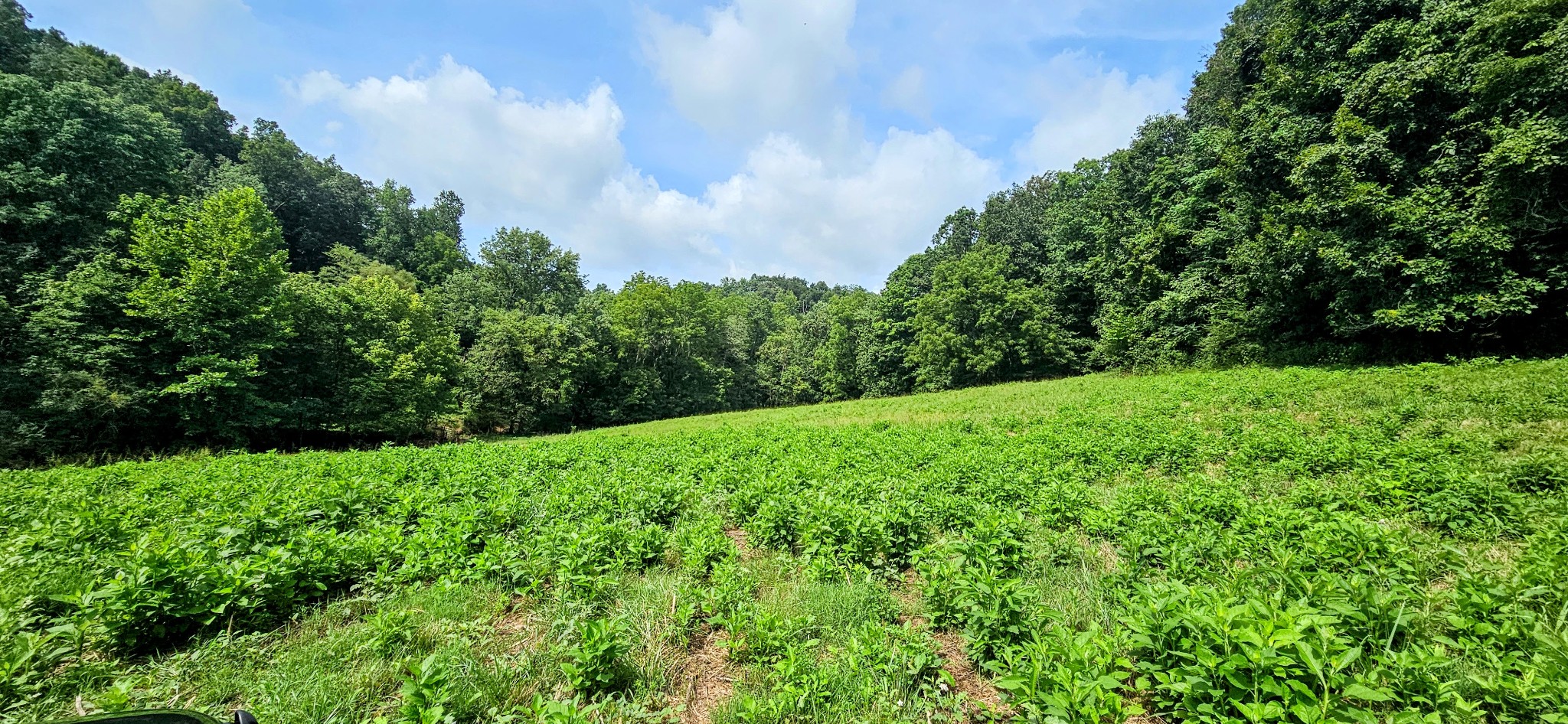 0 Big Spring Hollow