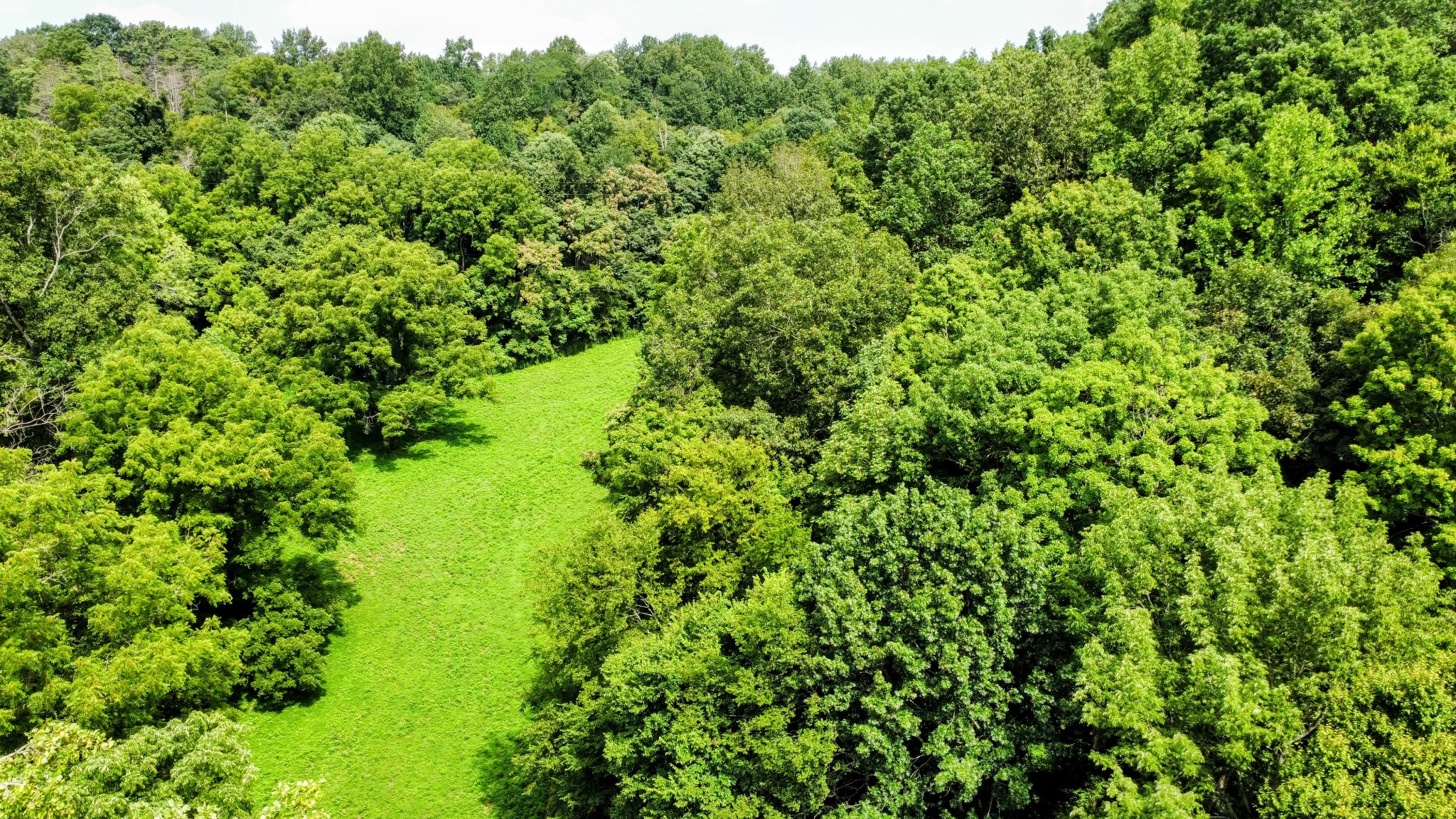 0 Big Spring Hollow