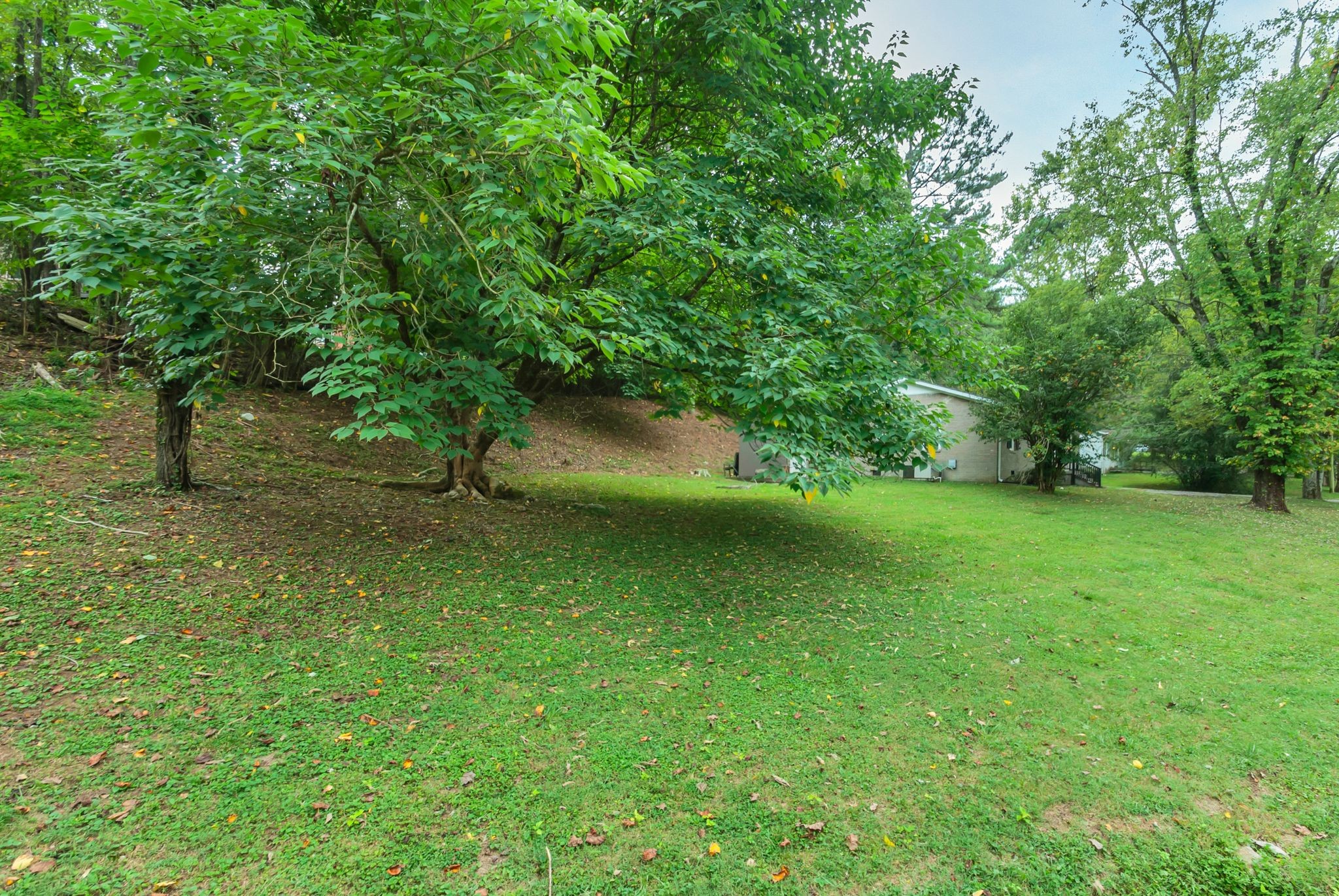 1801 Crestview Dr