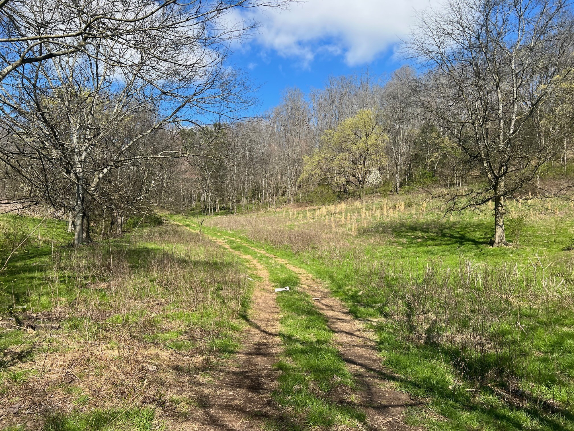 0 Weakley Creek Road