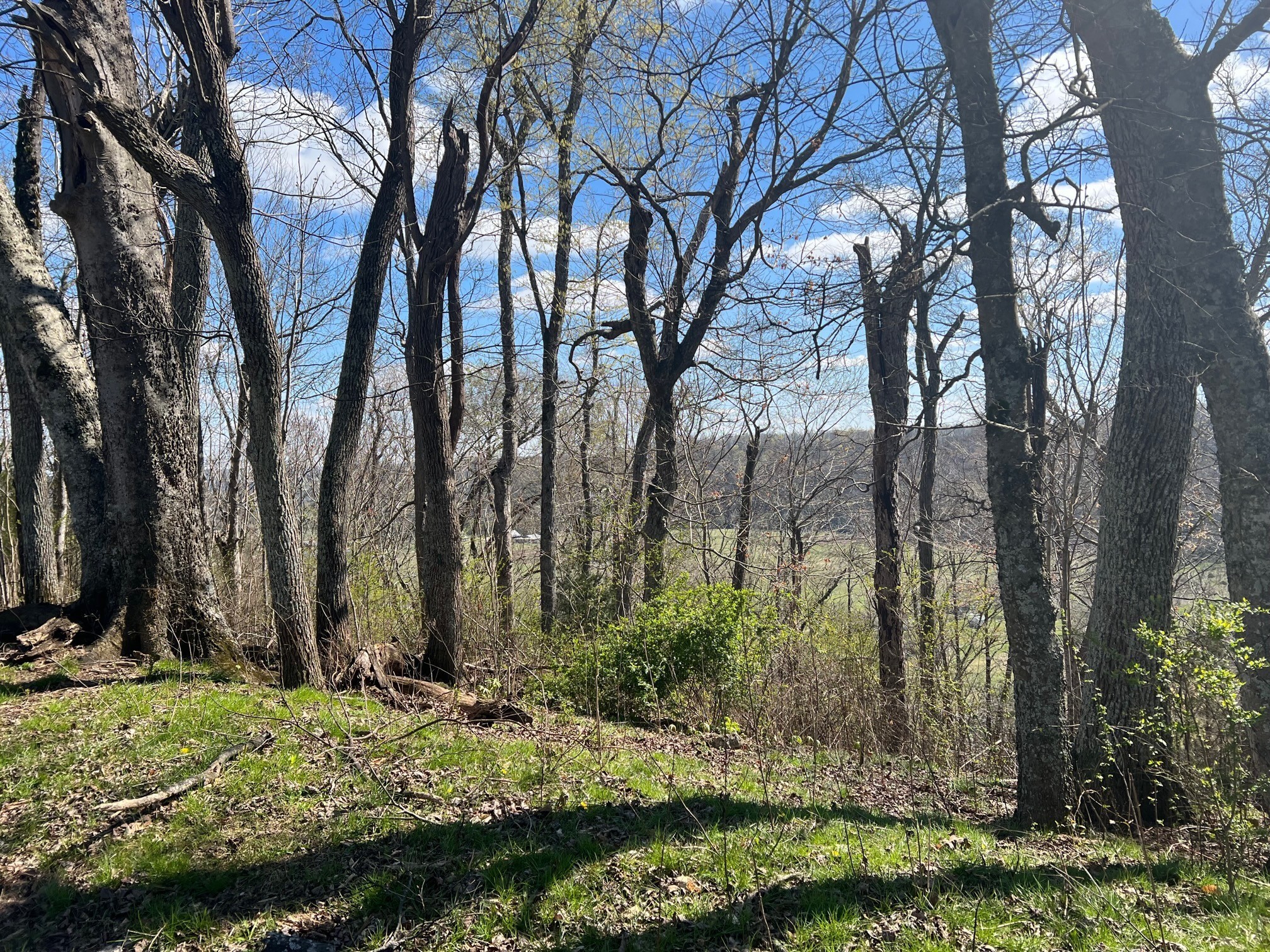 0 Weakley Creek Road