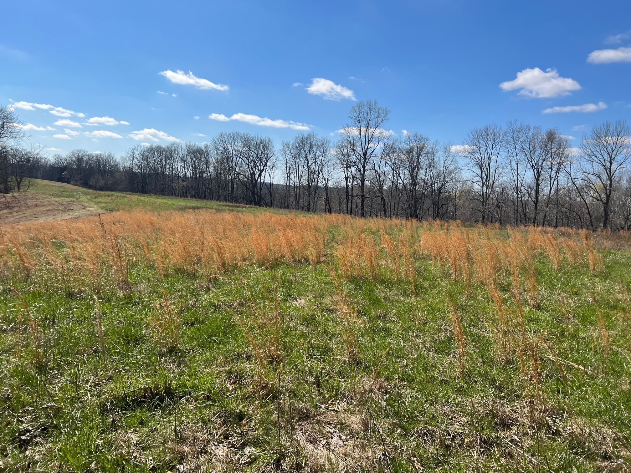 0 Weakley Creek Road