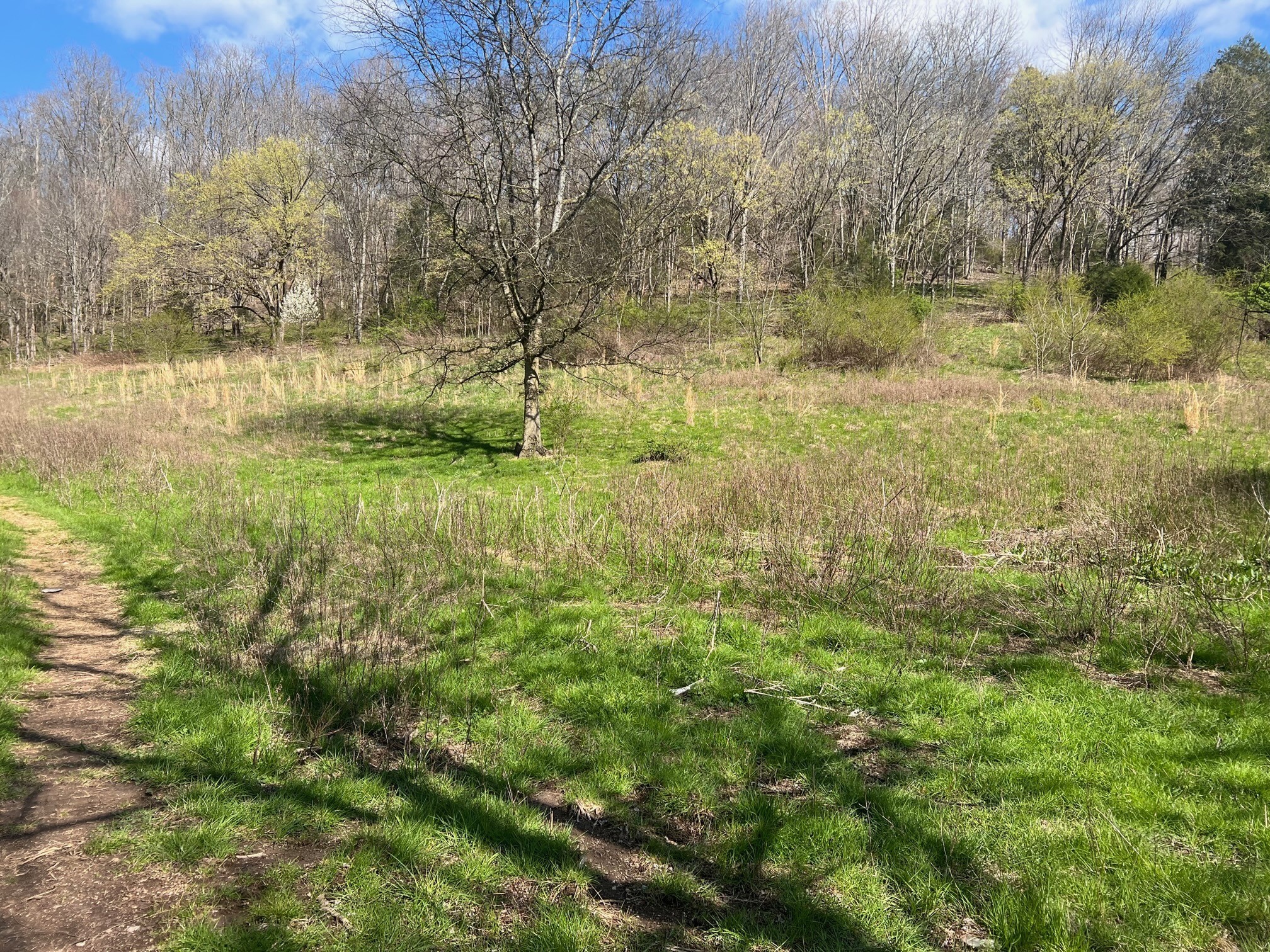 0 Weakley Creek Road