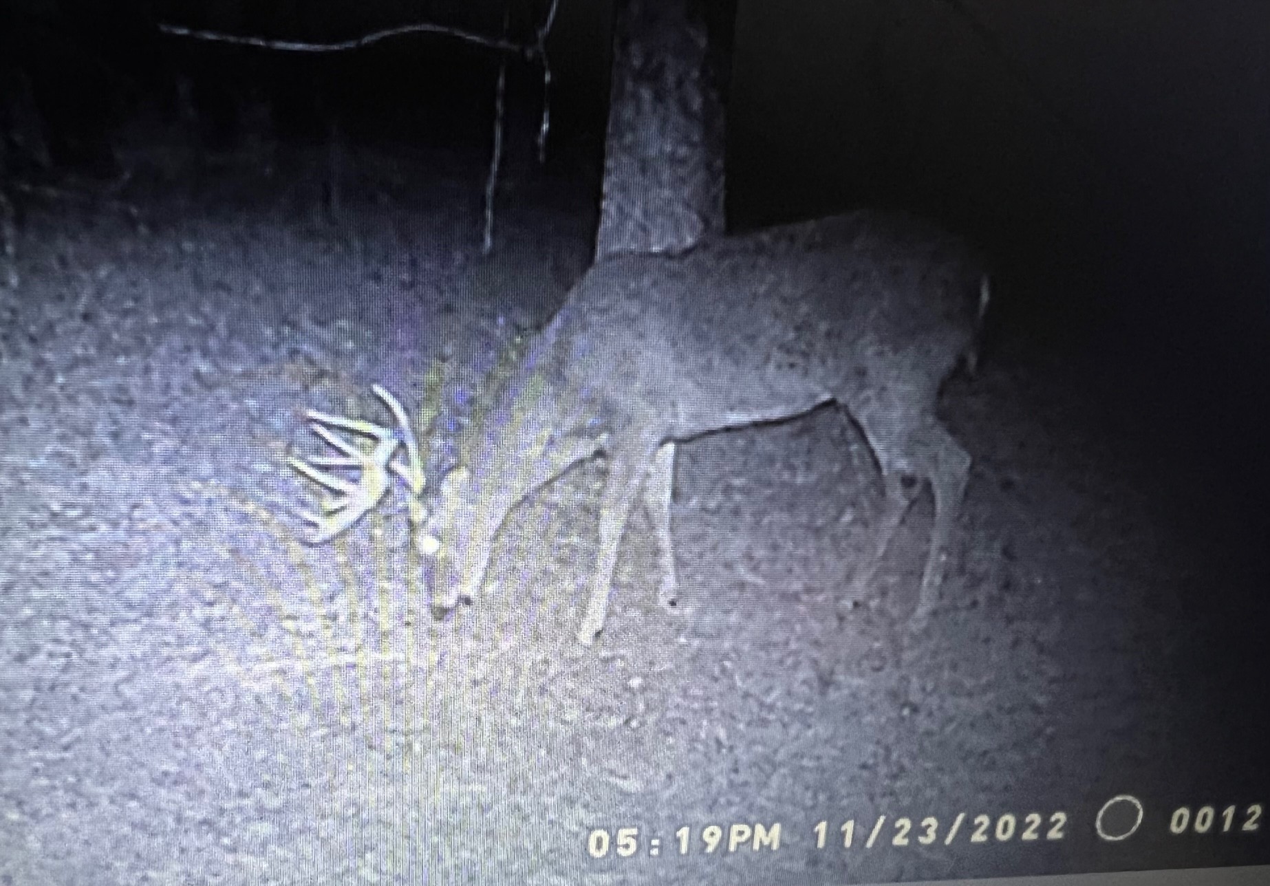 0 Weakley Creek Road