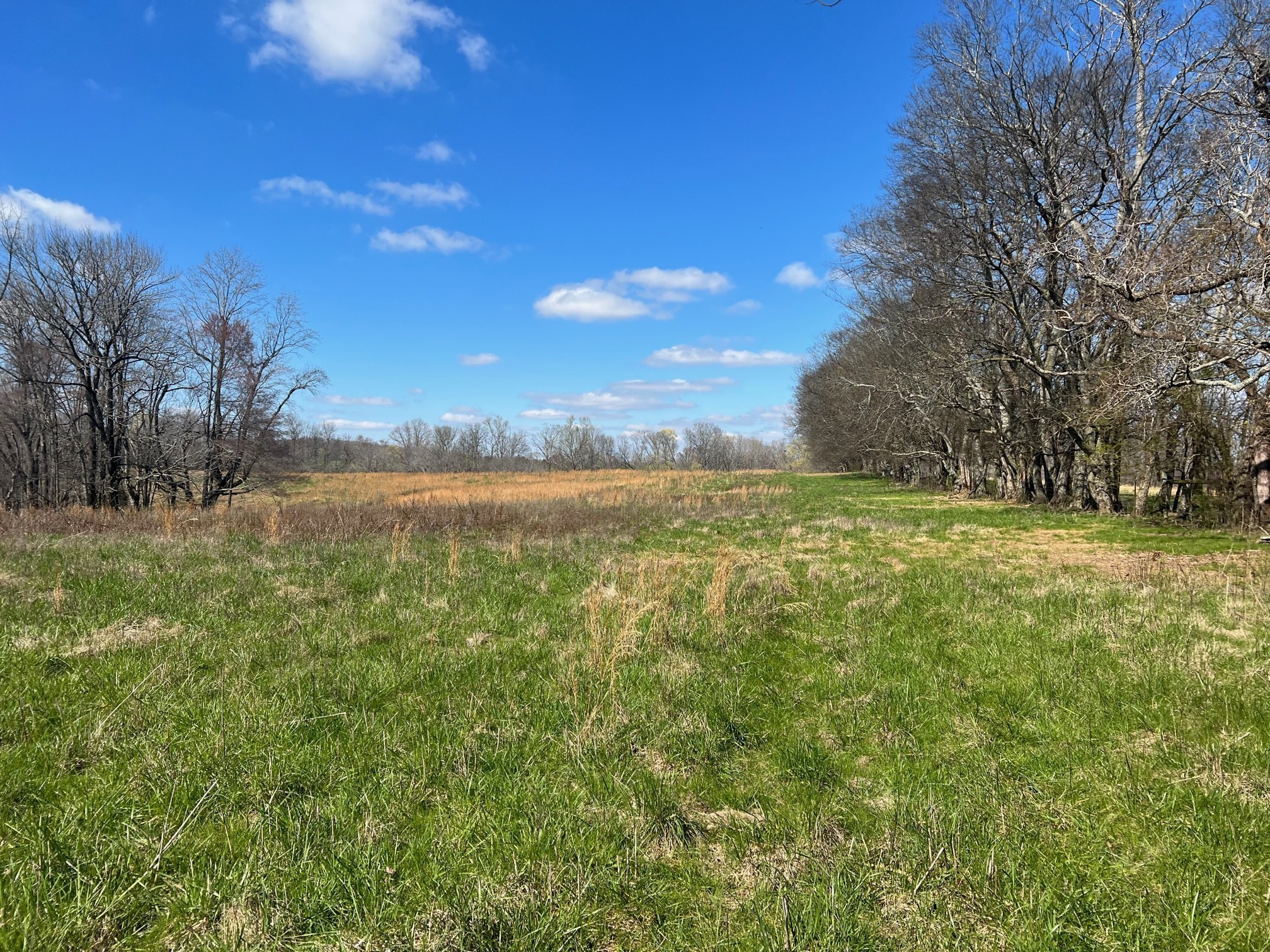 0 Weakley Creek Road