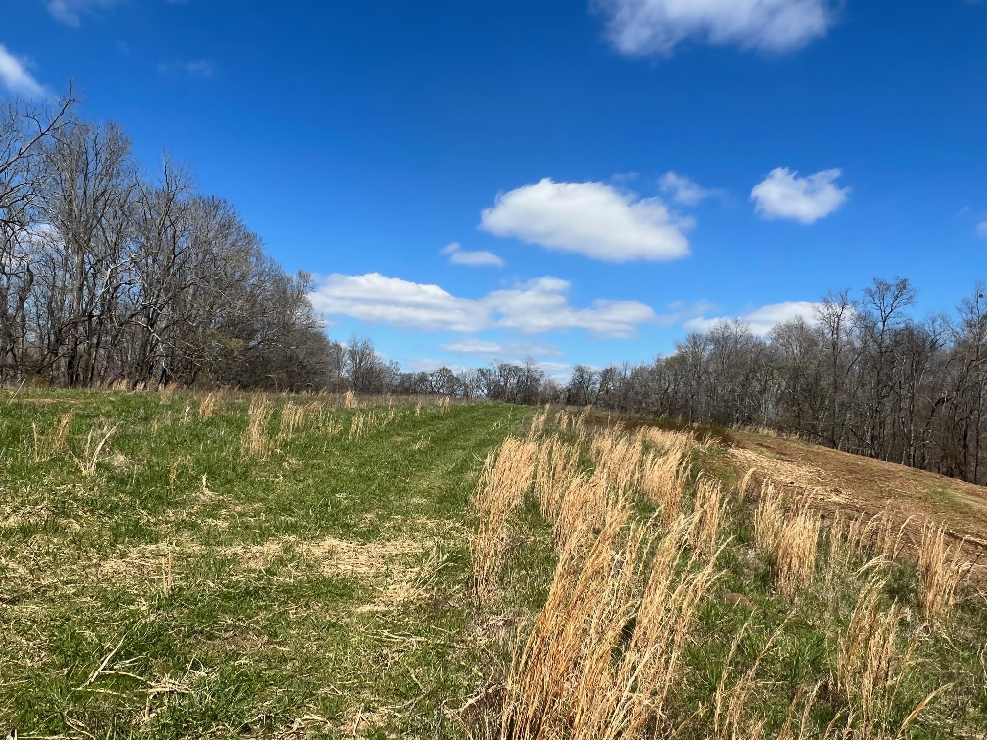 0 Weakley Creek Road