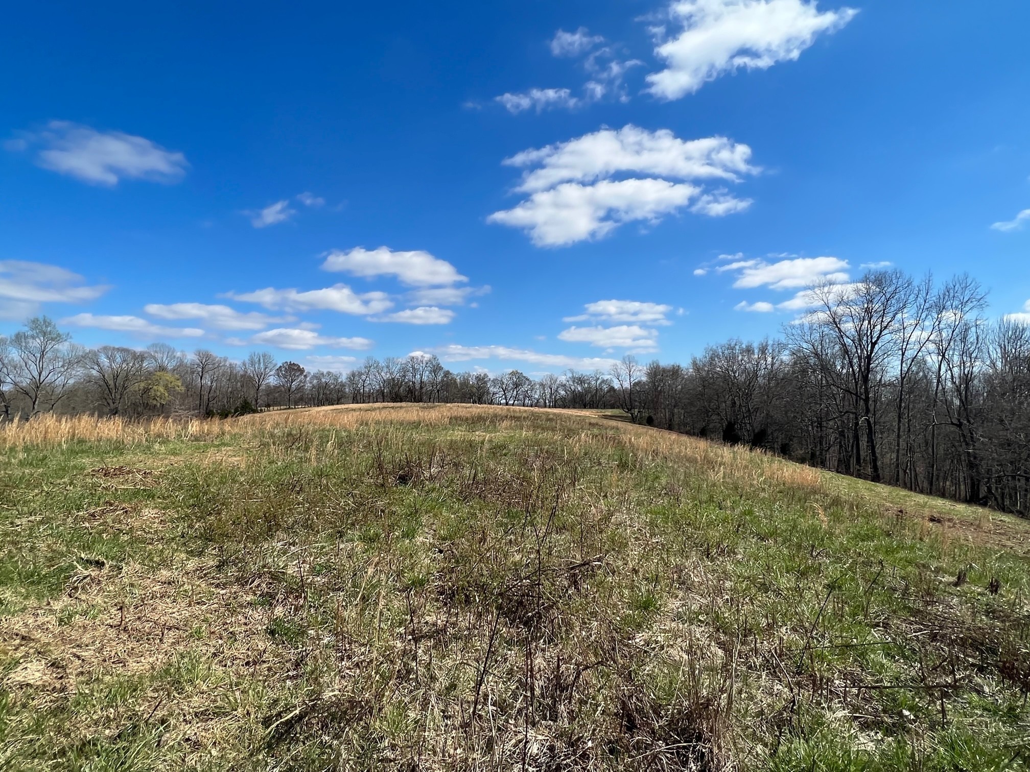 0 Weakley Creek Road