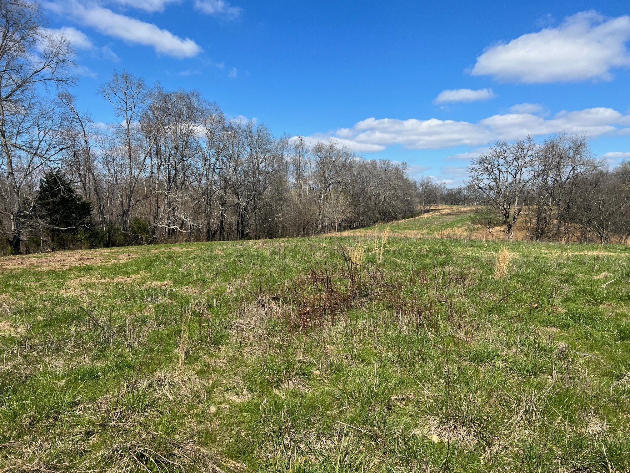 0 Weakley Creek Road