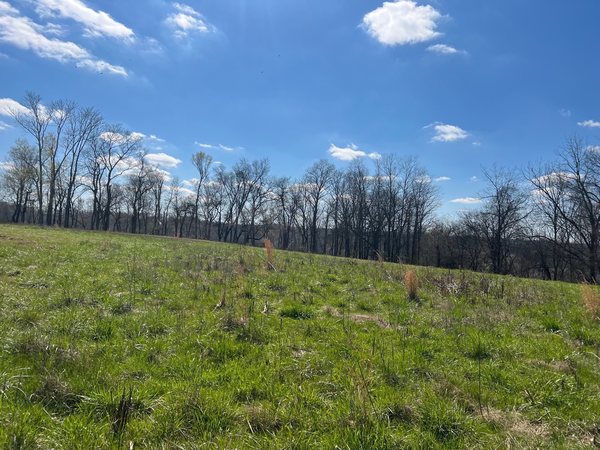 0 Weakley Creek Road