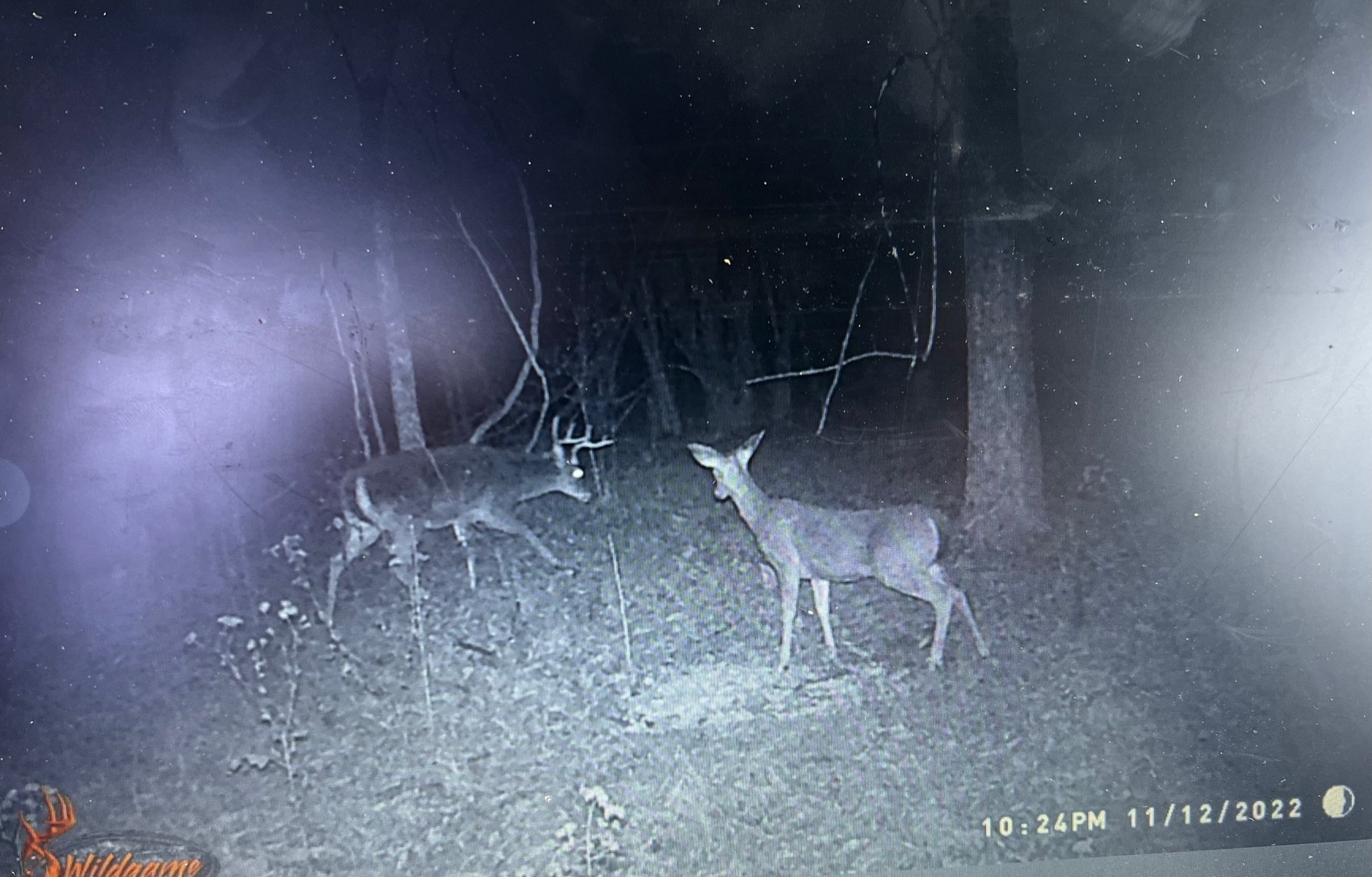 0 Weakley Creek Road