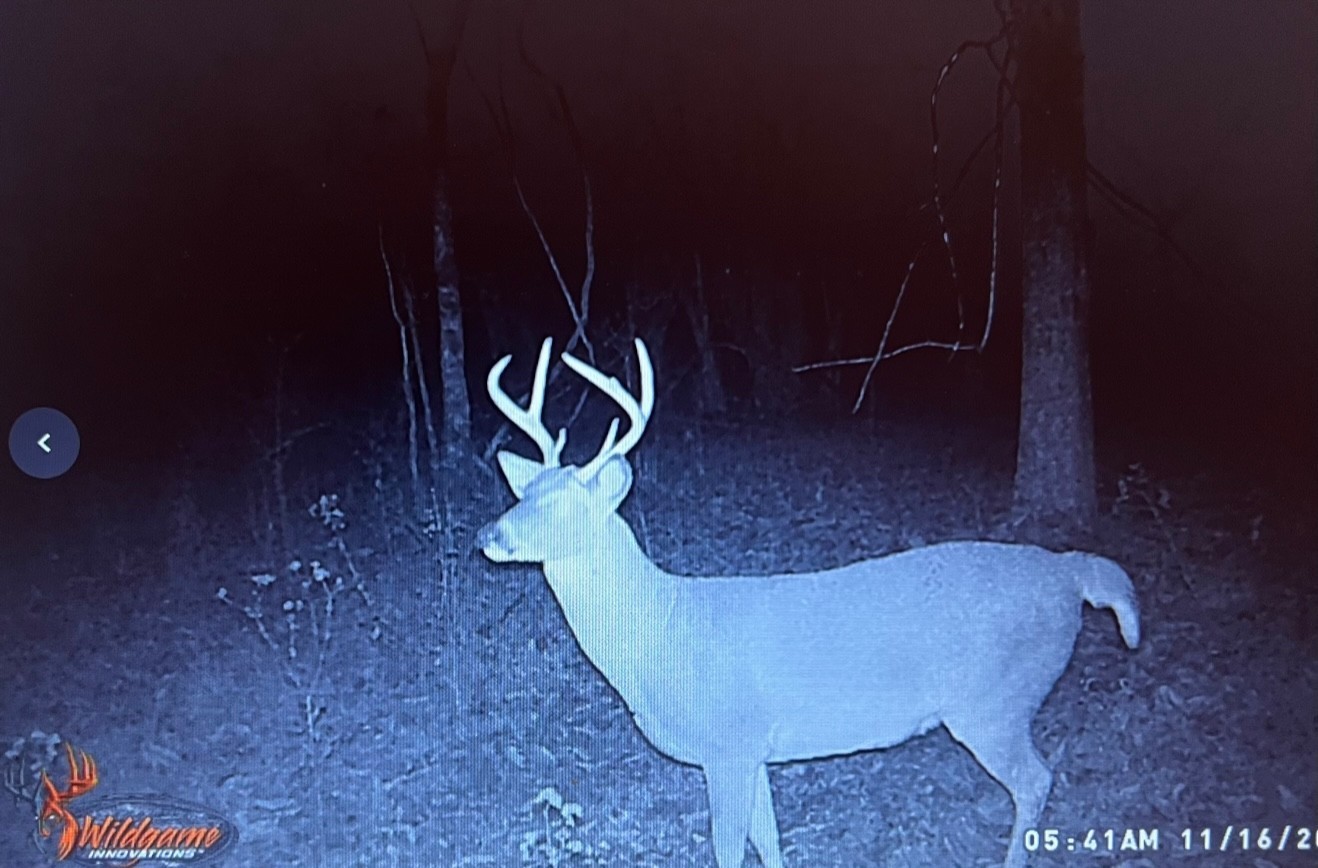 0 Weakley Creek Road