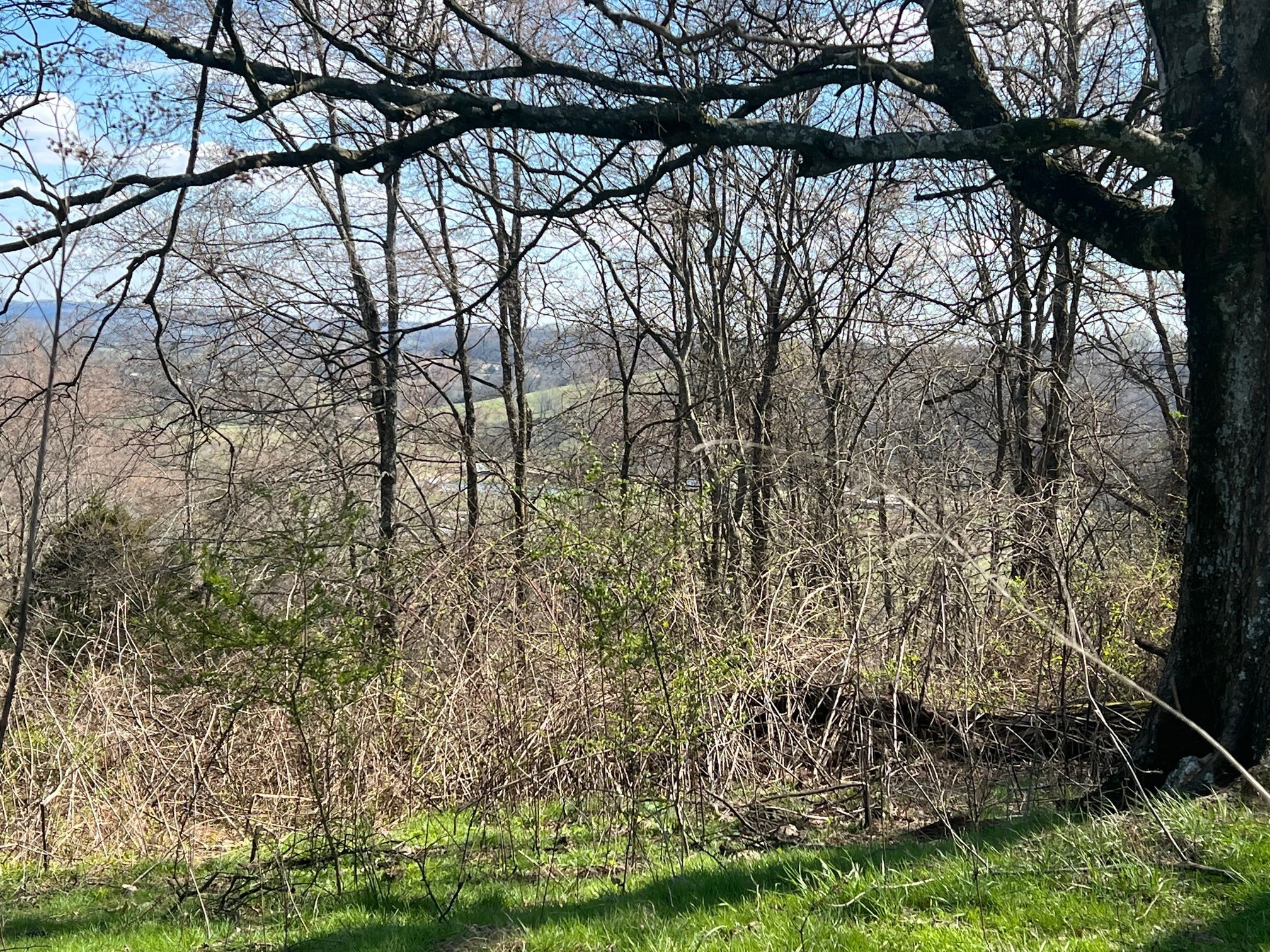 0 Weakley Creek Road