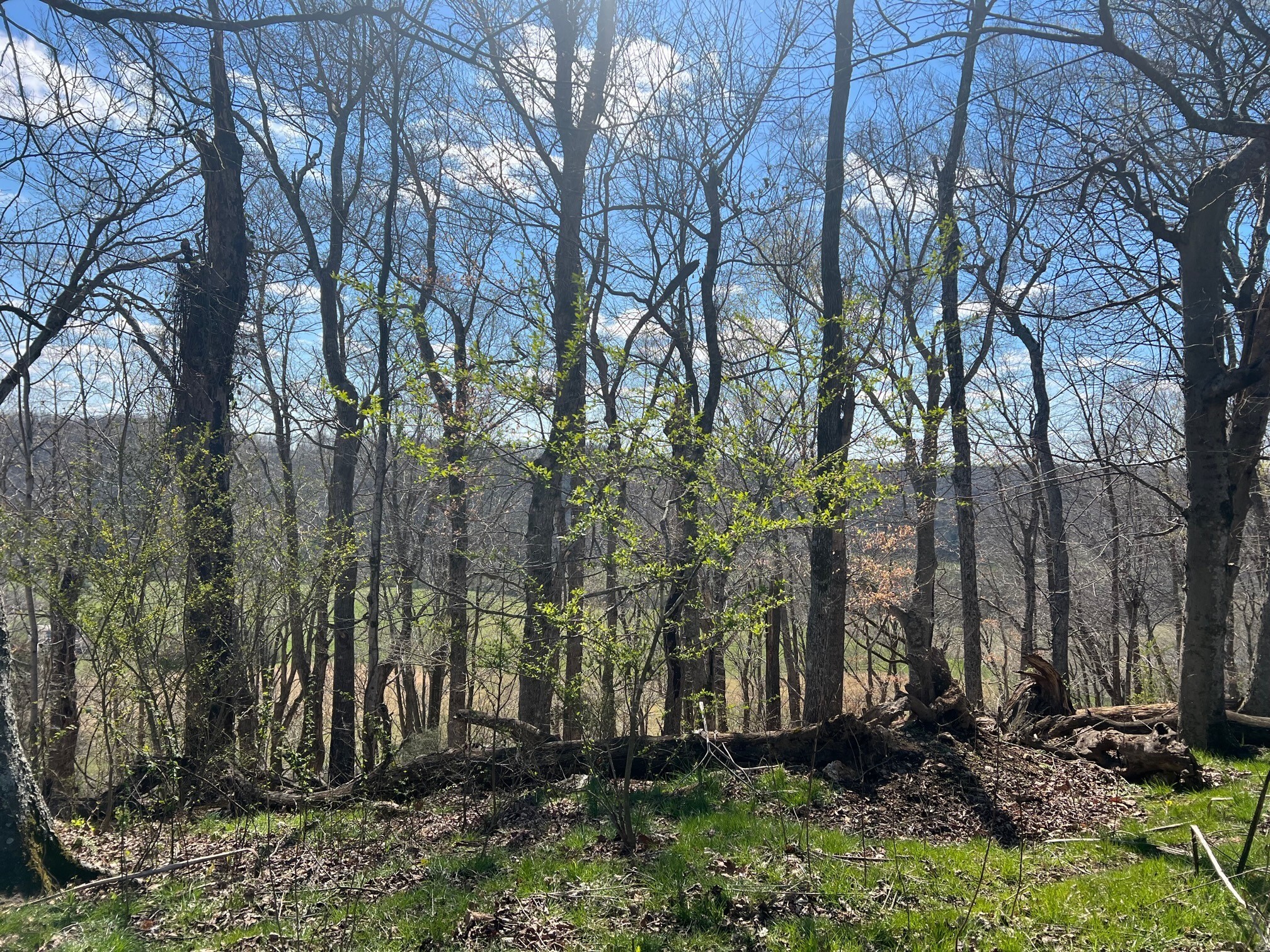 0 Weakley Creek Road