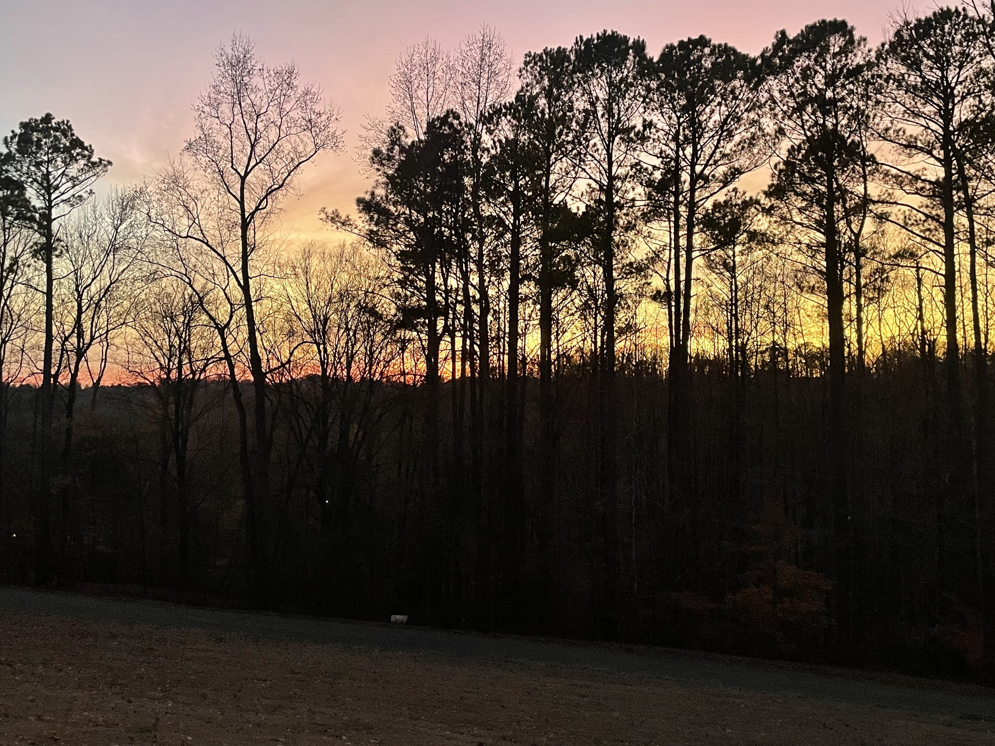 150 Cobb Ln