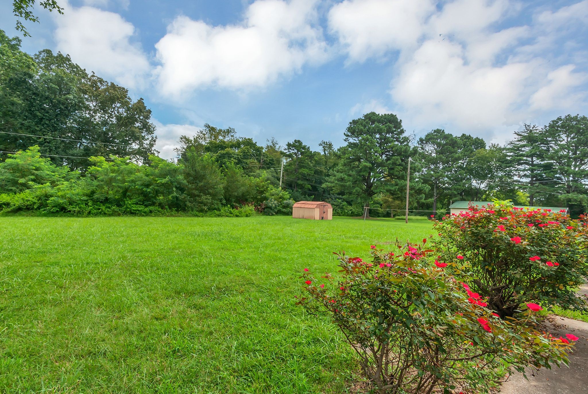 107 Horseshoe Bend Rd