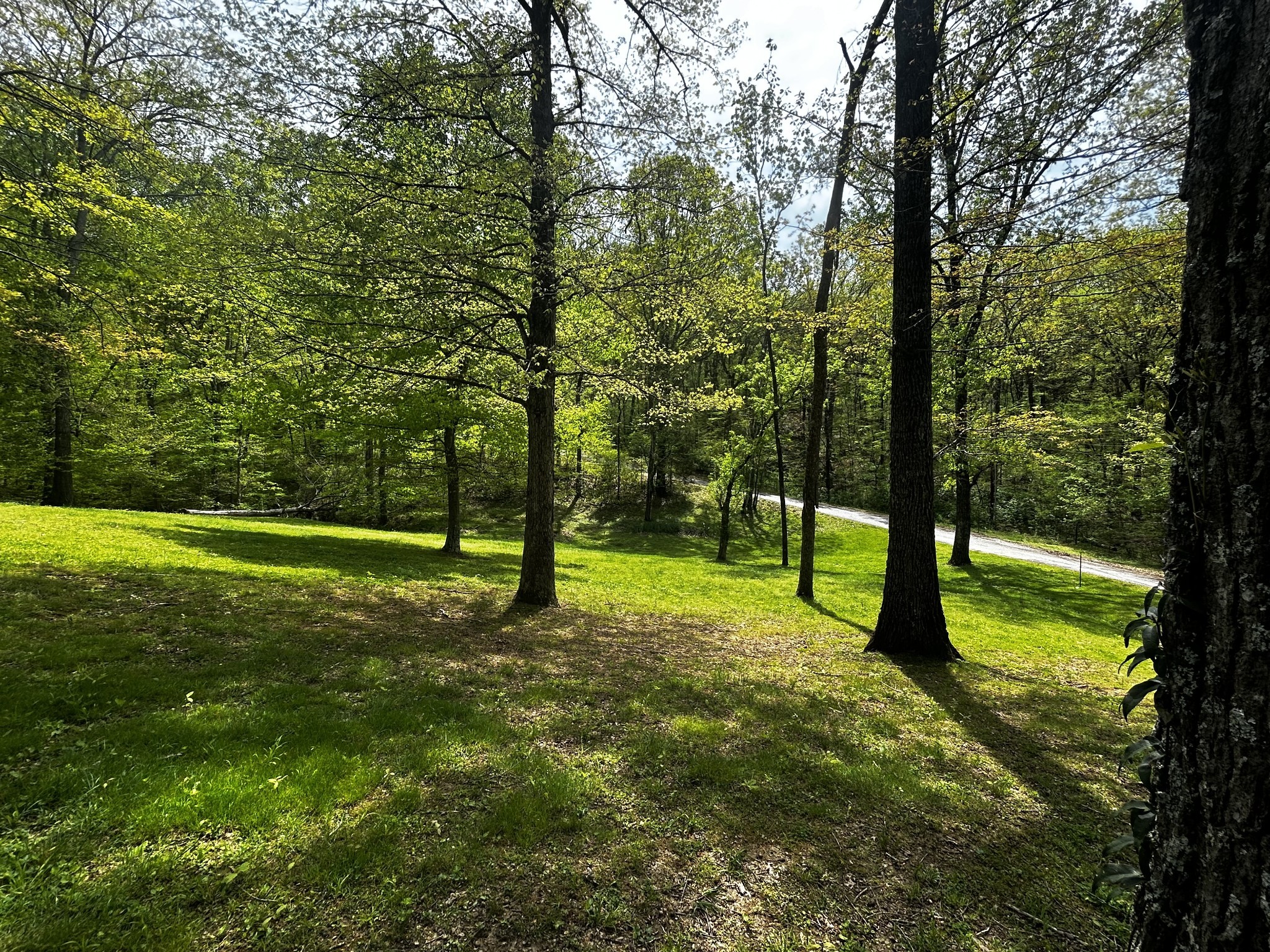 1850 Rebecca Dr