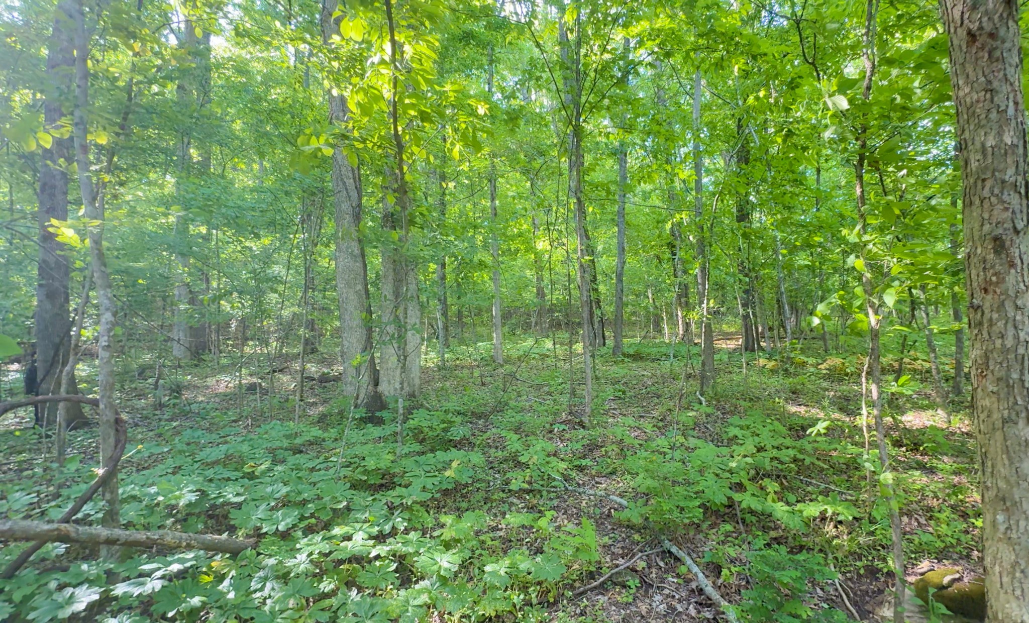 140 Ben Johnson Rd