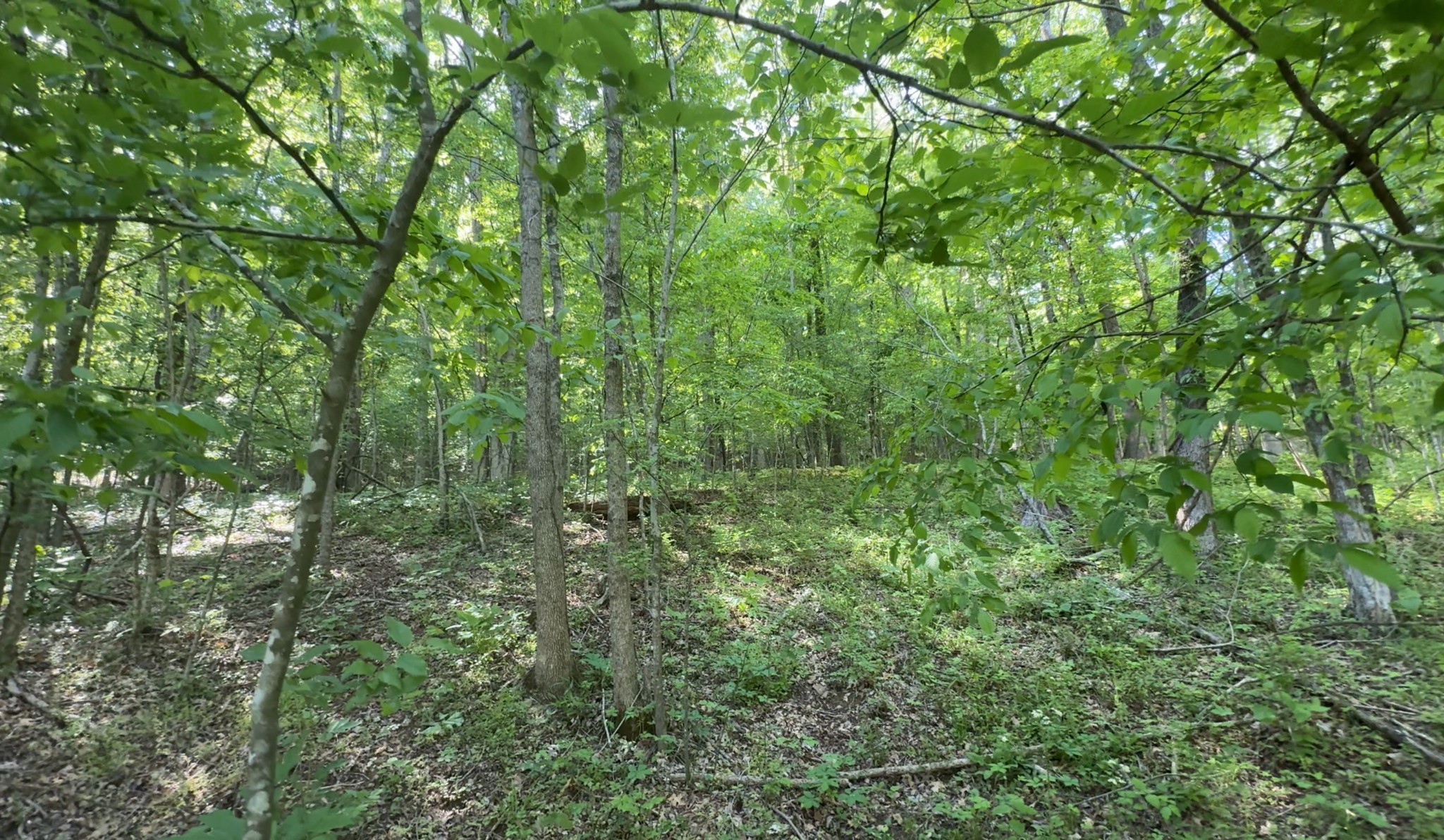 140 Ben Johnson Rd