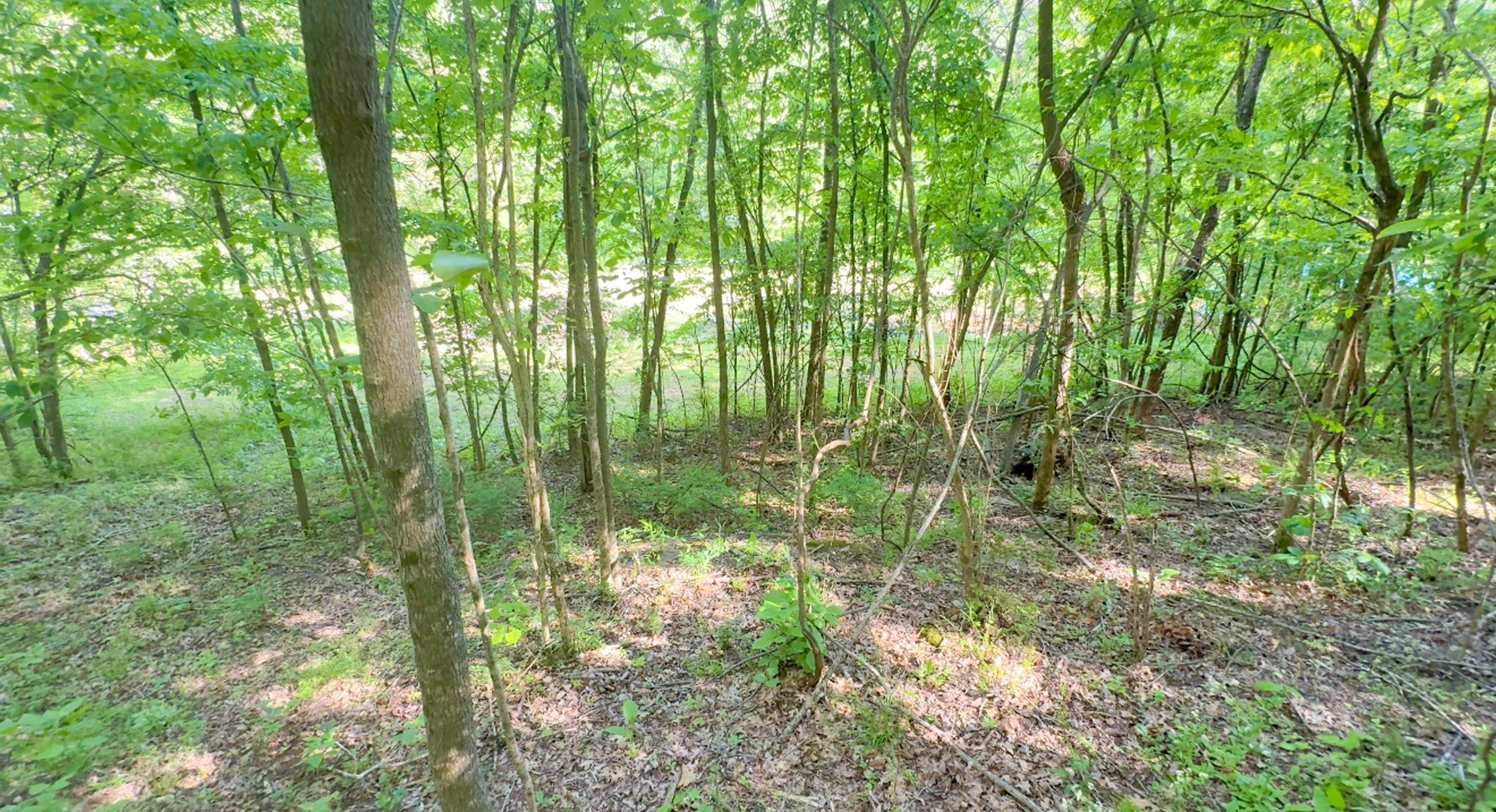 140 Ben Johnson Rd